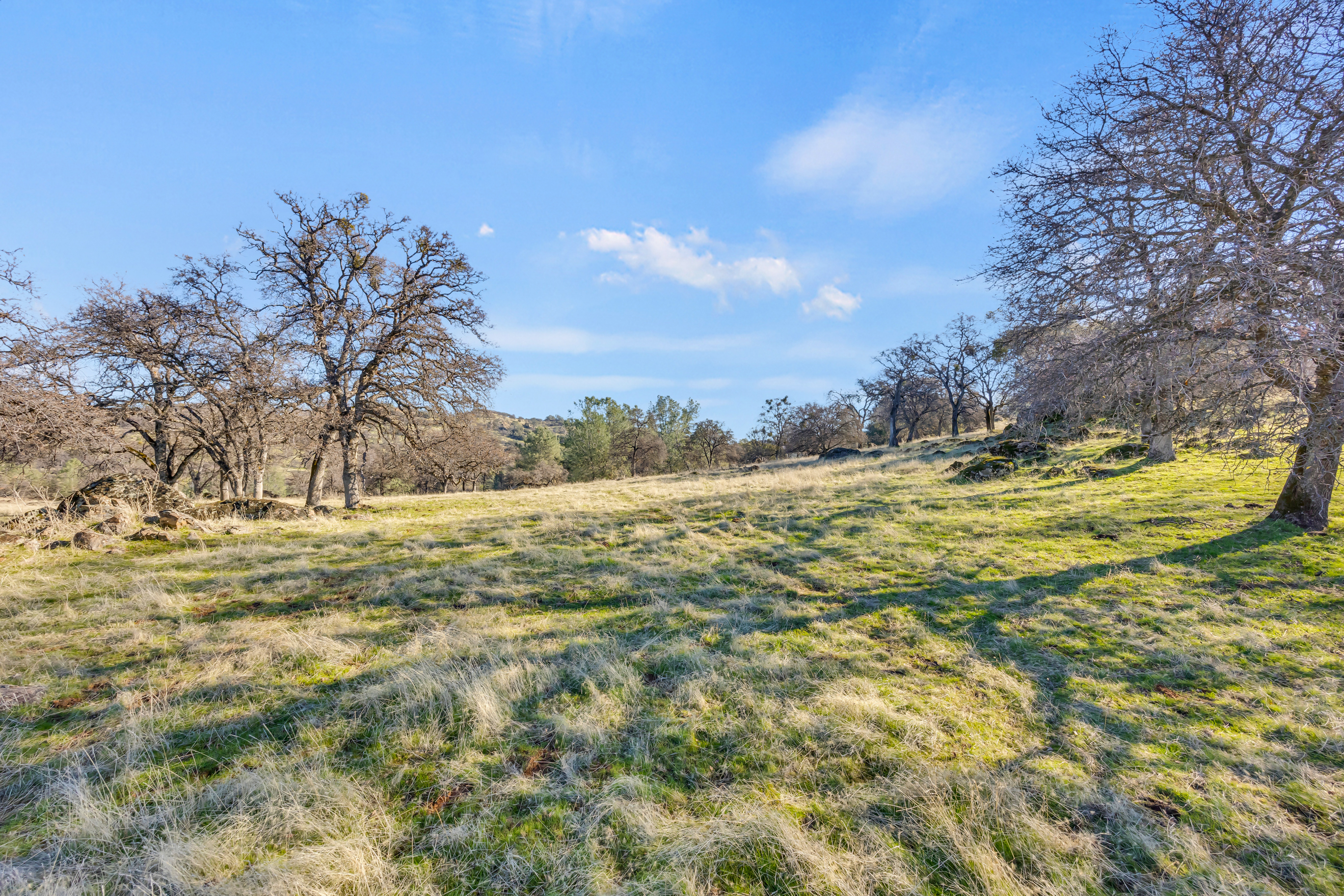  23443 Corino Way, Grass Valley, CA 95949 - 物件實景
