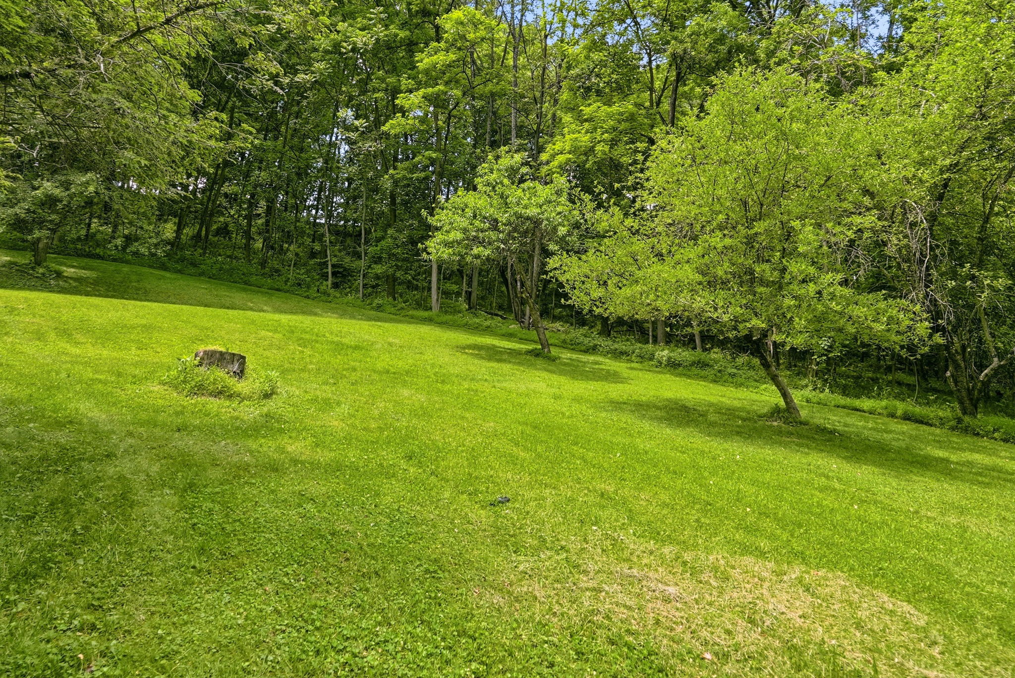 21 West Hillcrest Road, Eighty Four, PA 15330 - 物件實景