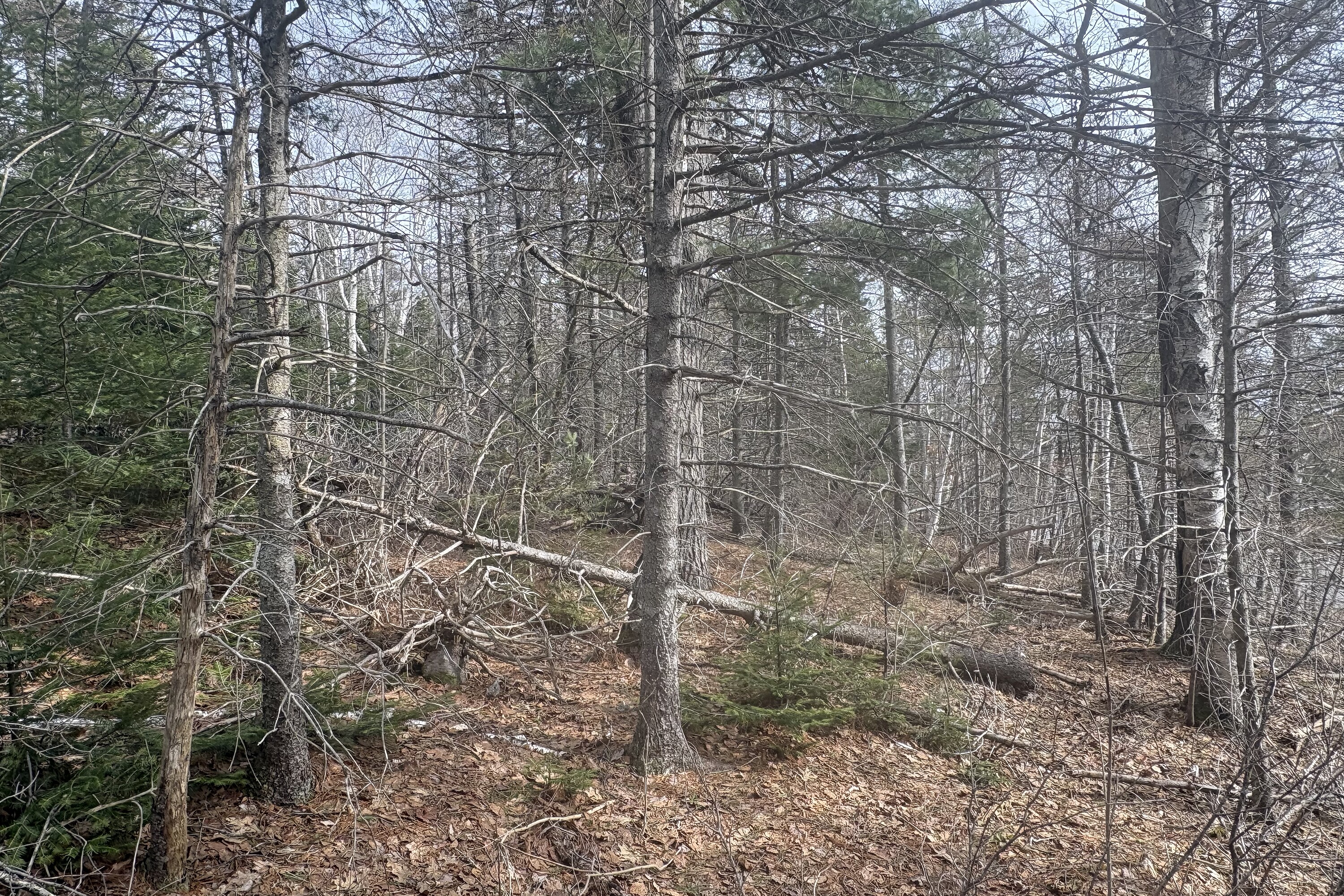  Melvern Square, - 物件實景