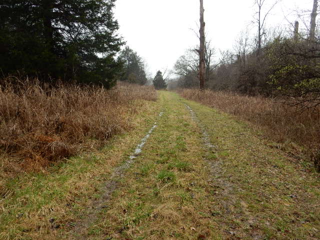 Clermont, Kentucky, 40110, United States, ,Land,For Sale,1980542