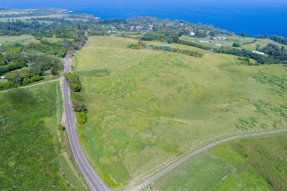 Kapaau, Hawaii, 96755, United States, ,Land,For Sale,2005975