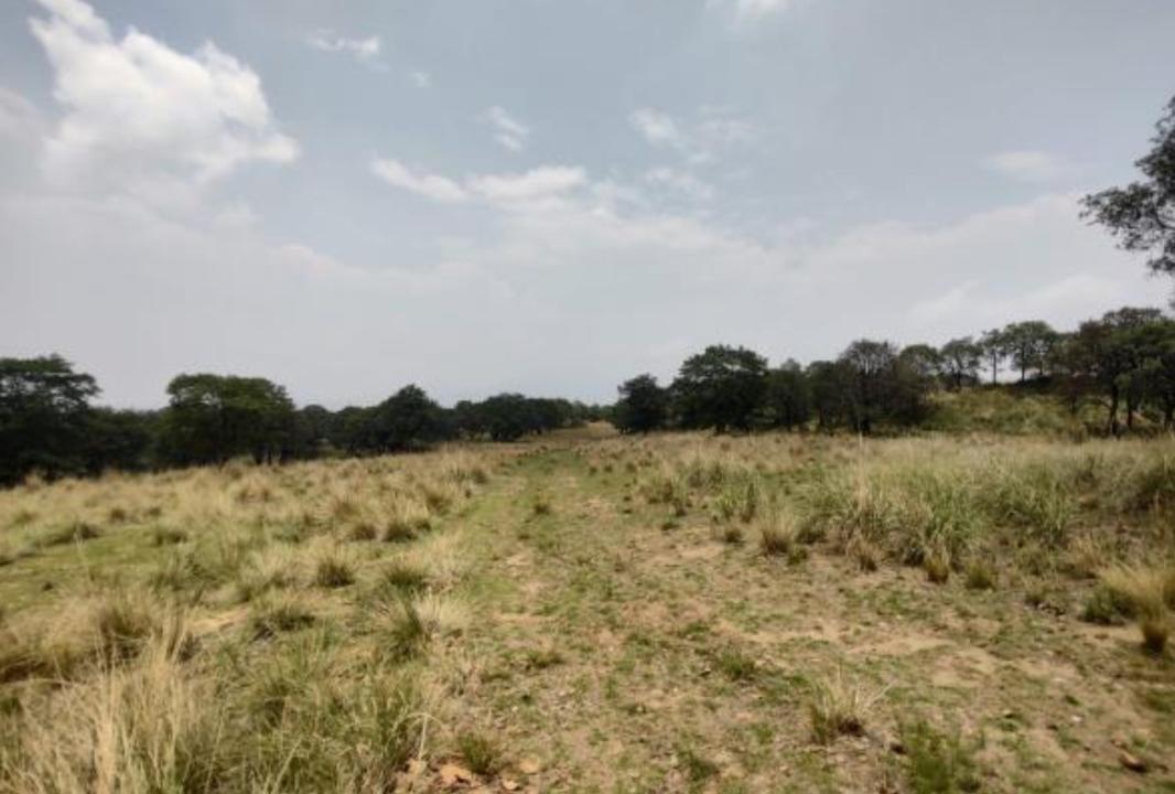 Camino sin nombre, Ayapango, Estado de México, 56760, Mexico, 1 Bedroom Bedrooms, ,Residential,For Sale,Camino sin nombre,1616925