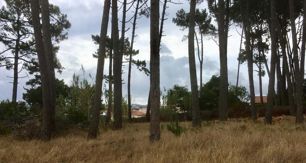 Sintra, Lisbon, 2705-645, PT, ,Land,For Sale,1698762