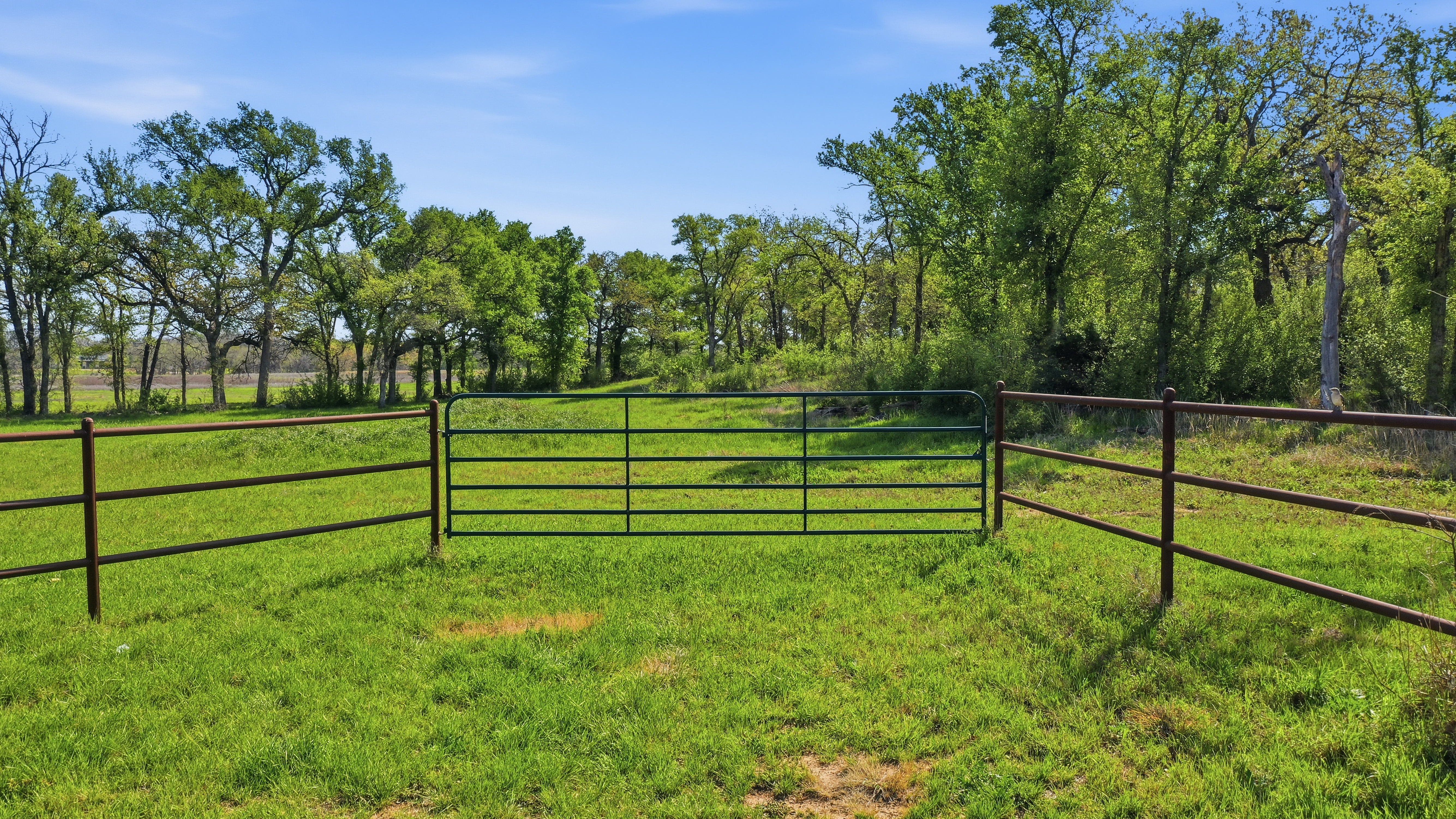  Space for Barns, Workshops, and Big Texas Dreams - 物件實景