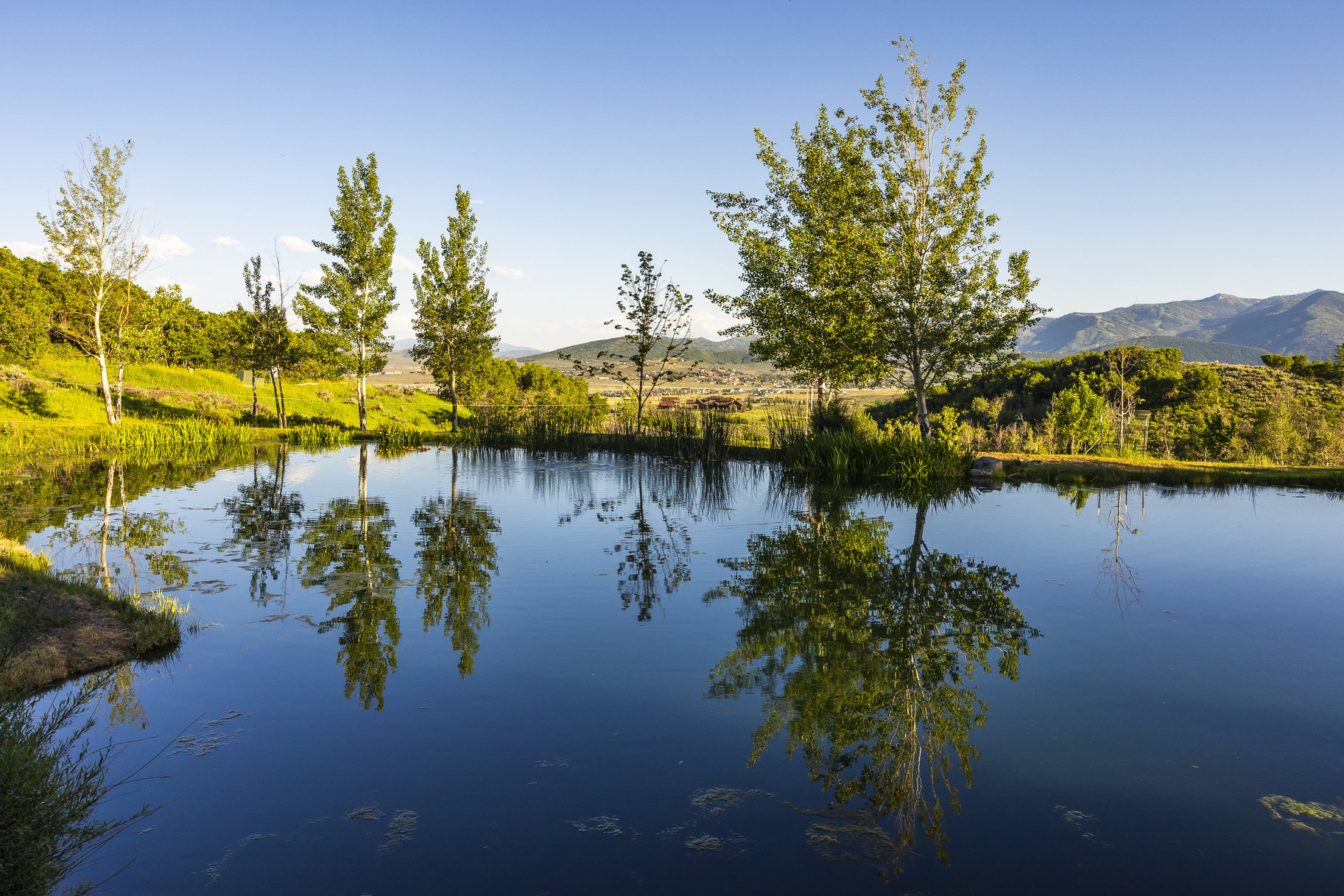  A RARE MODERN MOUNTAIN ESTATE WITH AN EXTRAORDINARY EQUESTRIAN FACILITY - 物件實景