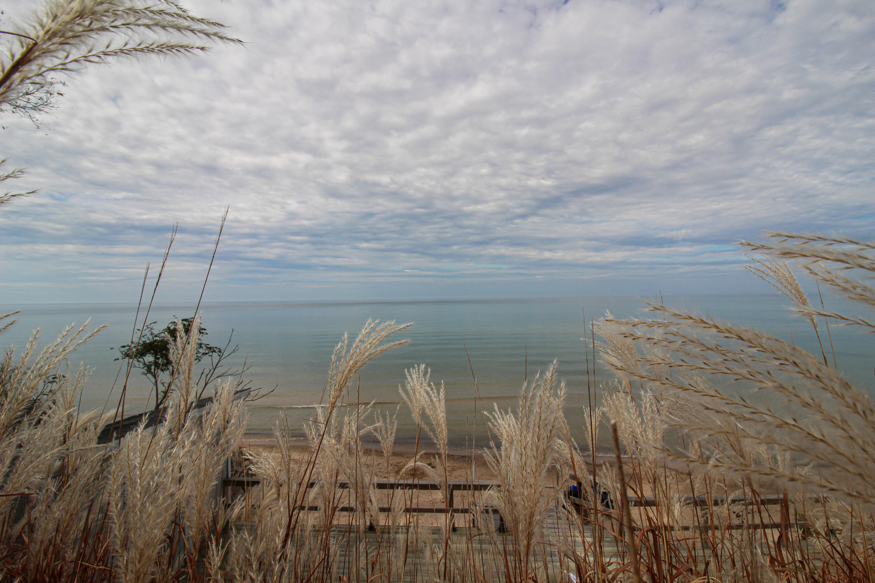 South Haven, Michigan, 49090, United States, 3 Bedrooms Bedrooms, ,4 BathroomsBathrooms,Residential,For Sale,1982825