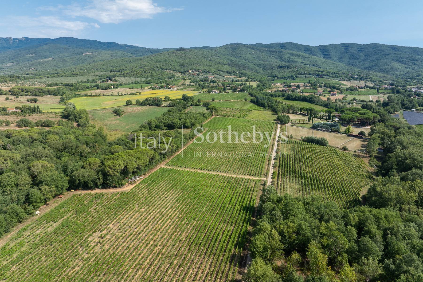  Estate with villa, swimming pool and organic vineyards - 物件實景