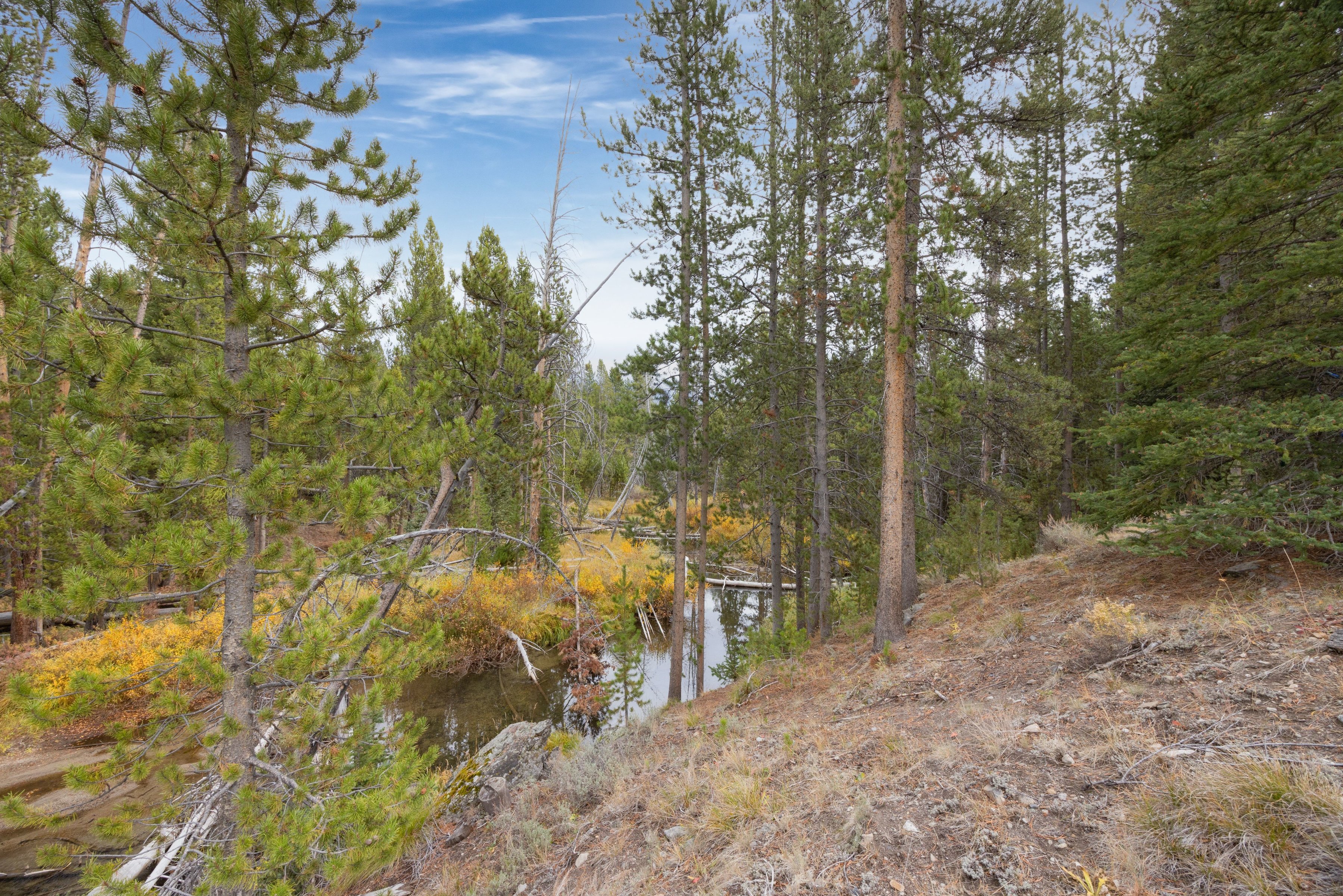  A Rare Creekside Retreat In The Sawtooths - 物件實景