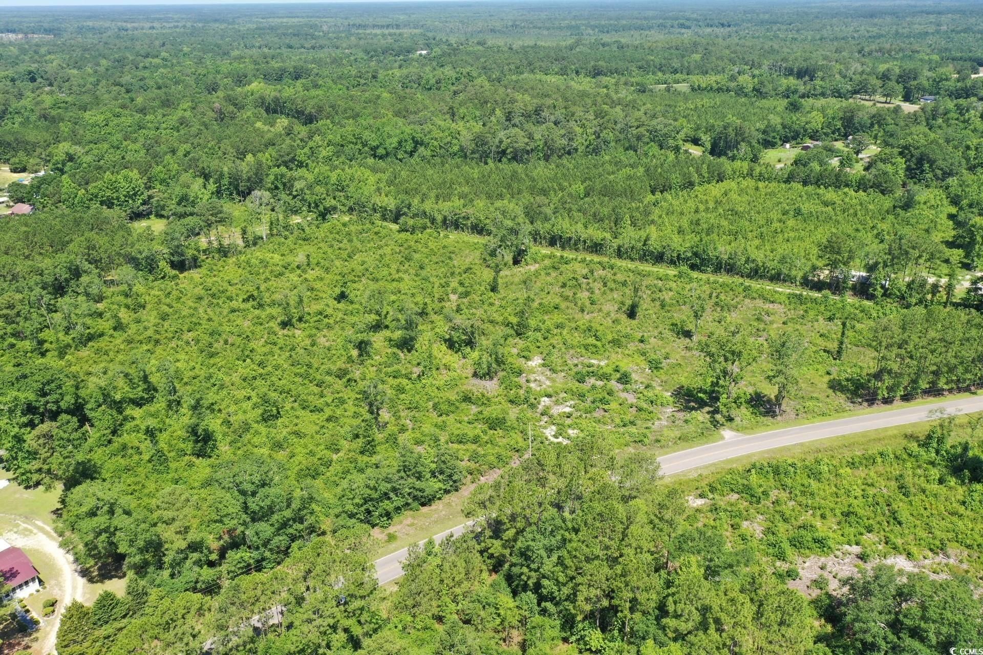 Longs, South Carolina, 29568, United States, ,Land,For Sale,1976577