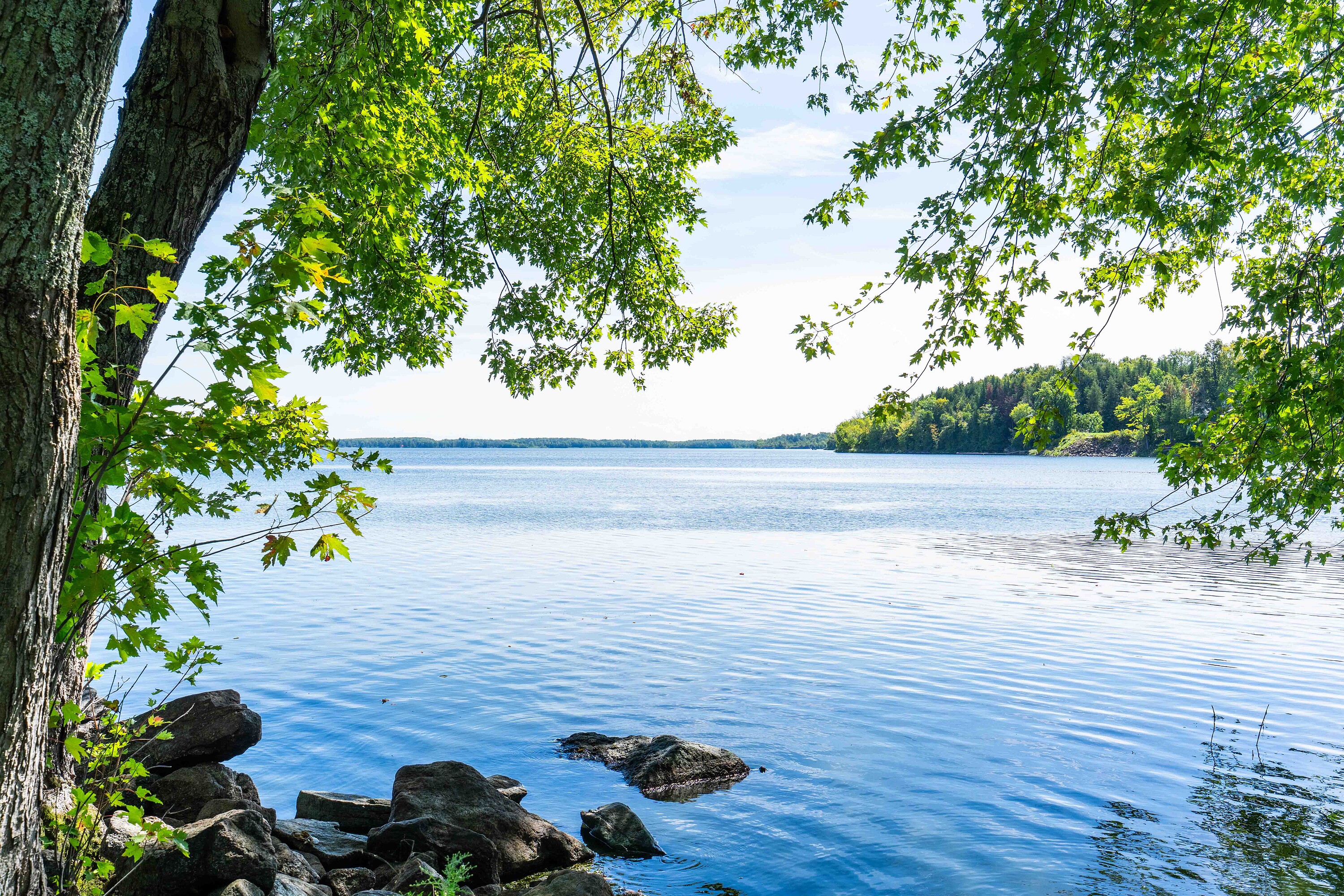  Beautiful Lake St. John - 物件實景