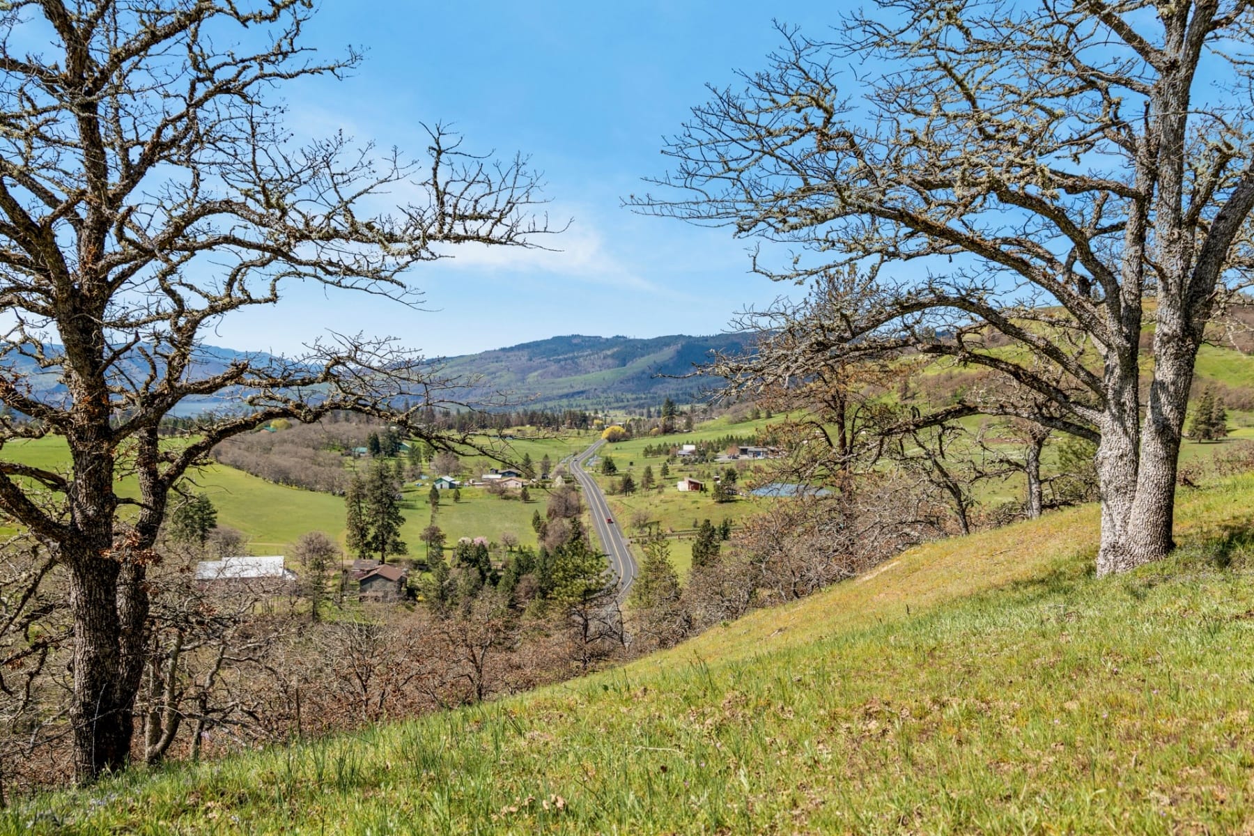  10 CANYON RD Lyle, WA 98635 - 物件實景