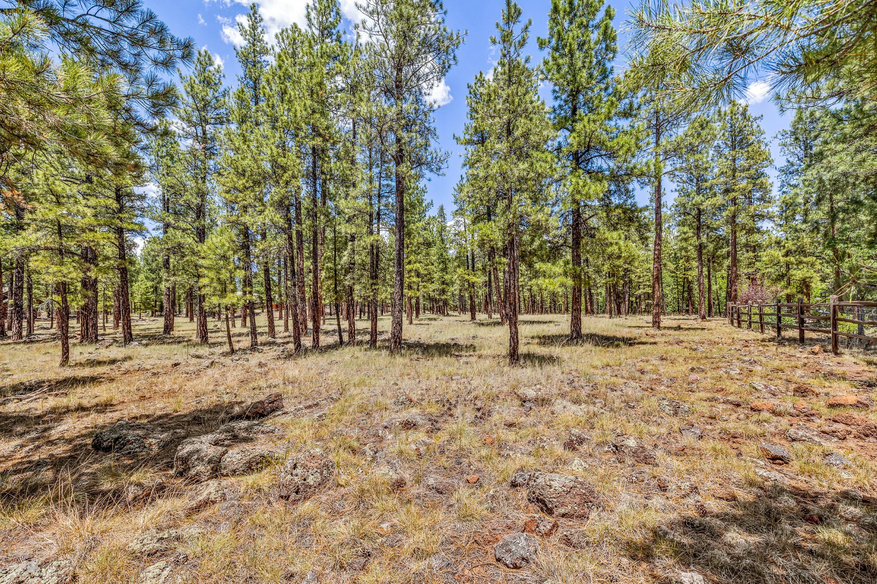  2901 Creekside Drive ¦ Flagstaff, AZ - 物件實景