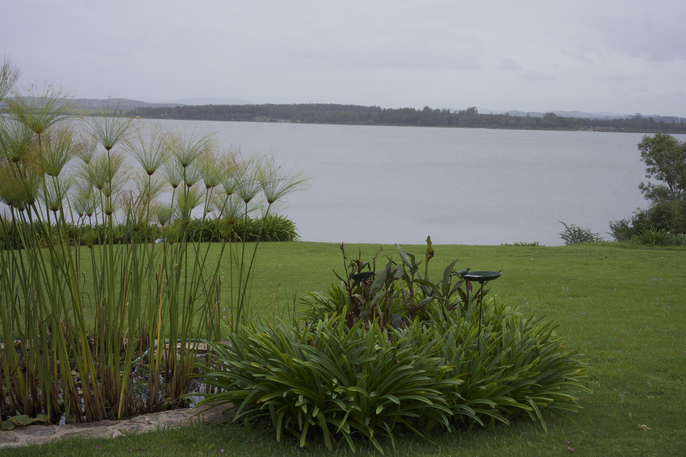  4,4 ha farm in Laguna del Sauce - 物件實景