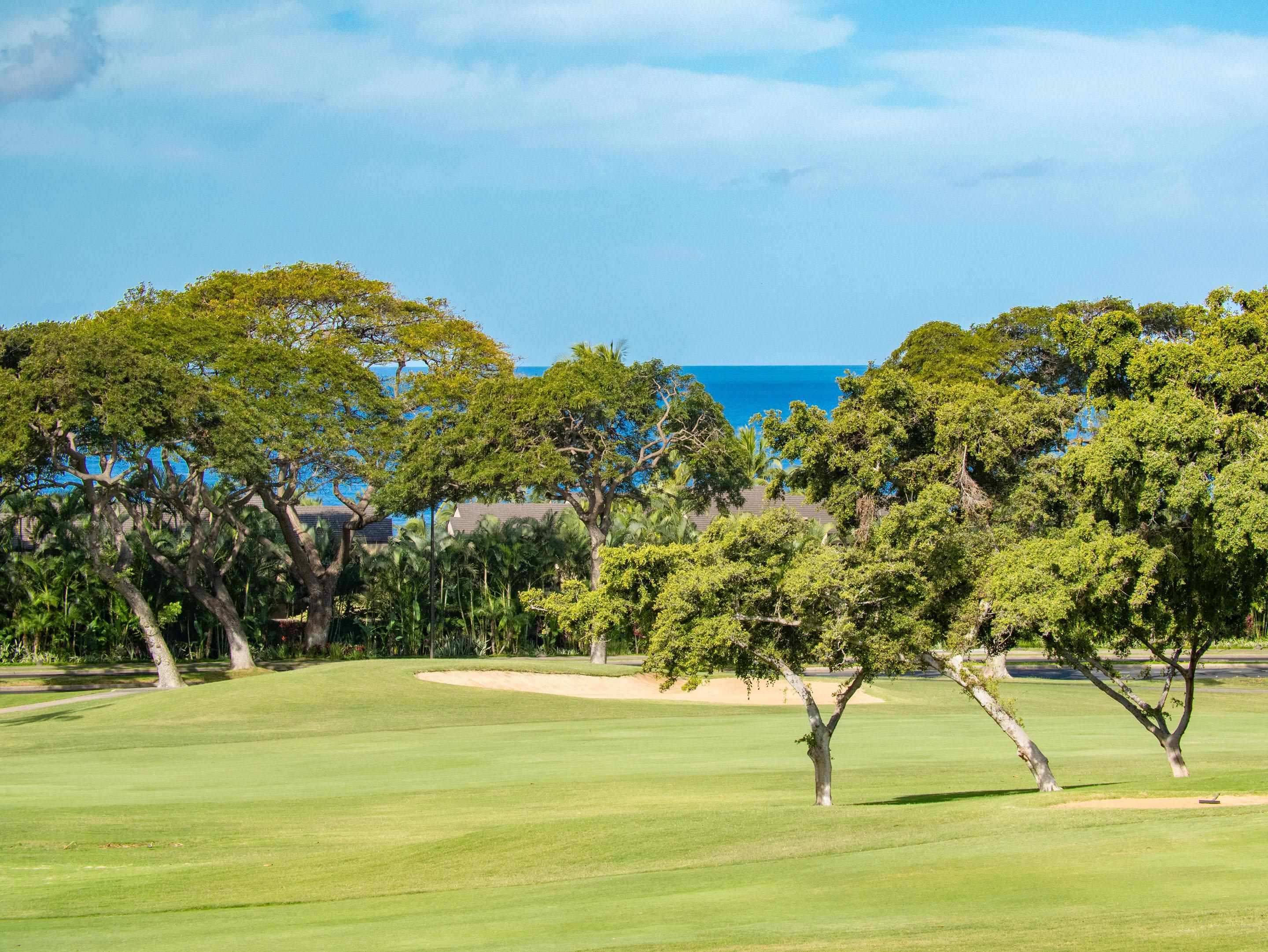 Kihei, Hawaii, 96753, United States, 1 Bedroom Bedrooms, ,2 BathroomsBathrooms,Residential,For Sale,1770410