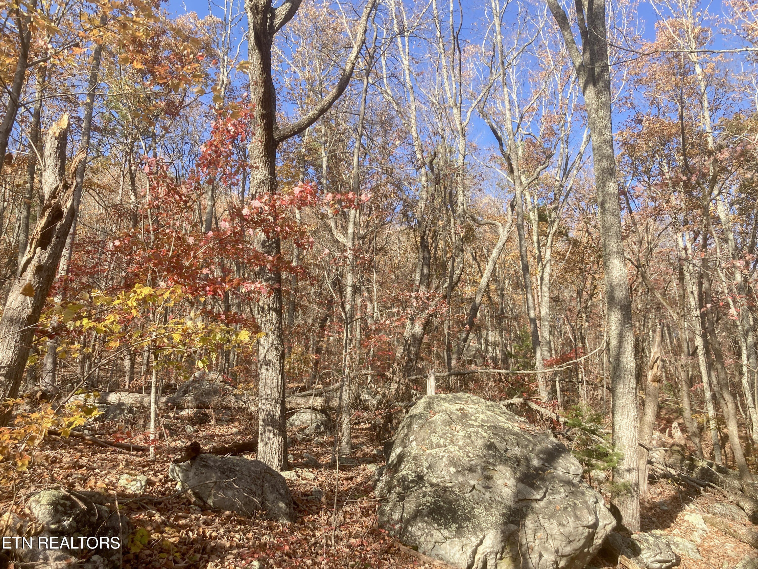 Pikeville, Tennessee, 37367, United States, ,Land,For Sale,1975616