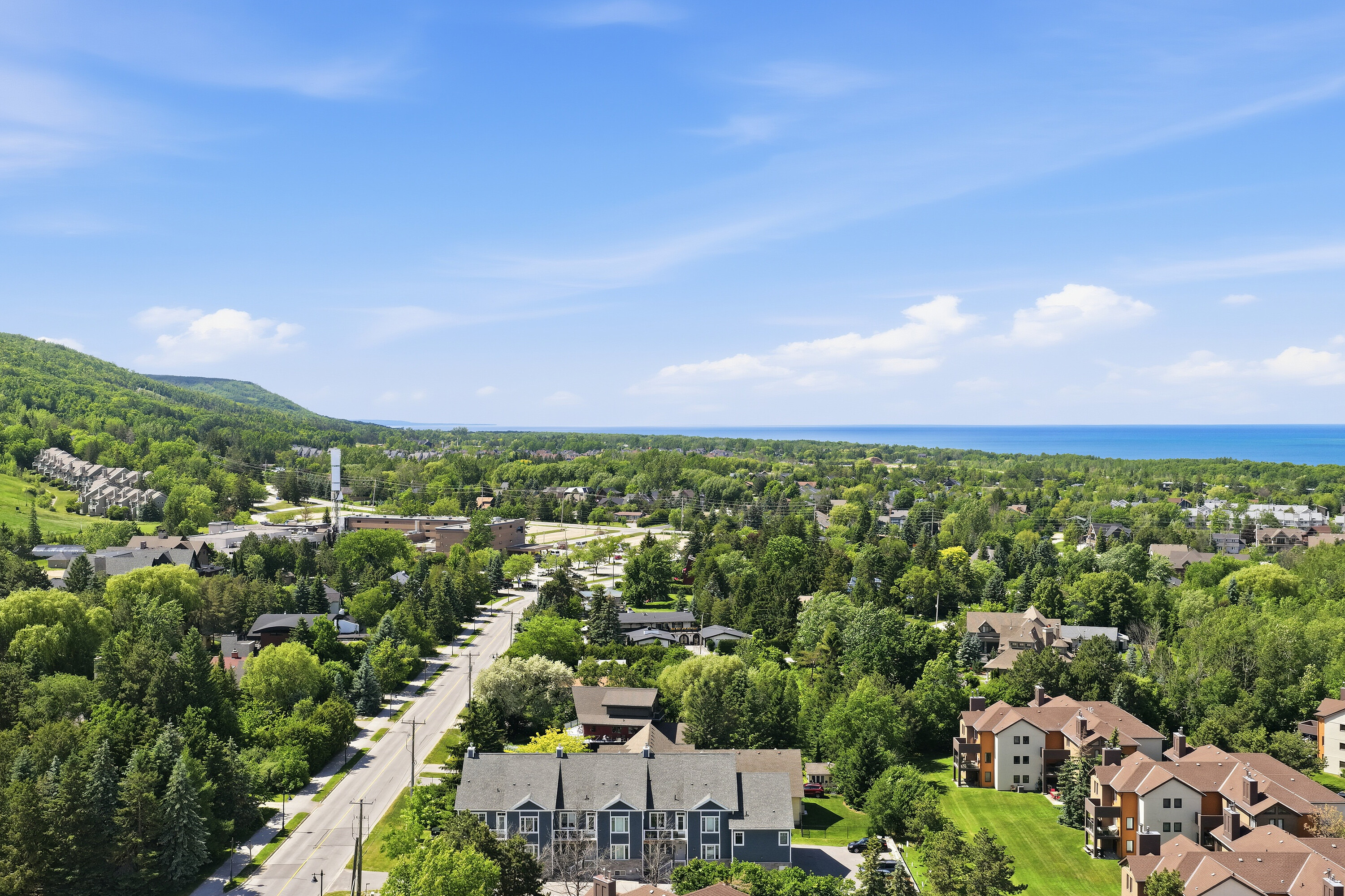  Collingwood, Southern Georgian Bay - 物件實景