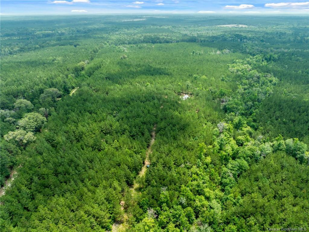 1781 Barham Road, Hornbeck, Louisiana, 71439, United States, 2 Bedrooms Bedrooms, ,2 BathroomsBathrooms,Residential,For Sale,1781 Barham Road,1623067