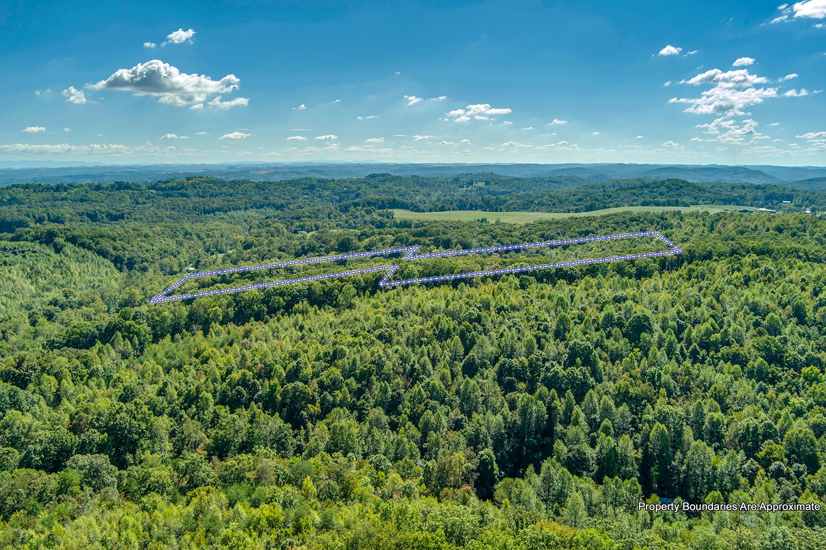 Kingston, Tennessee, 37763, United States, 5 Bedrooms Bedrooms, ,5 BathroomsBathrooms,Residential,For Sale,2011404