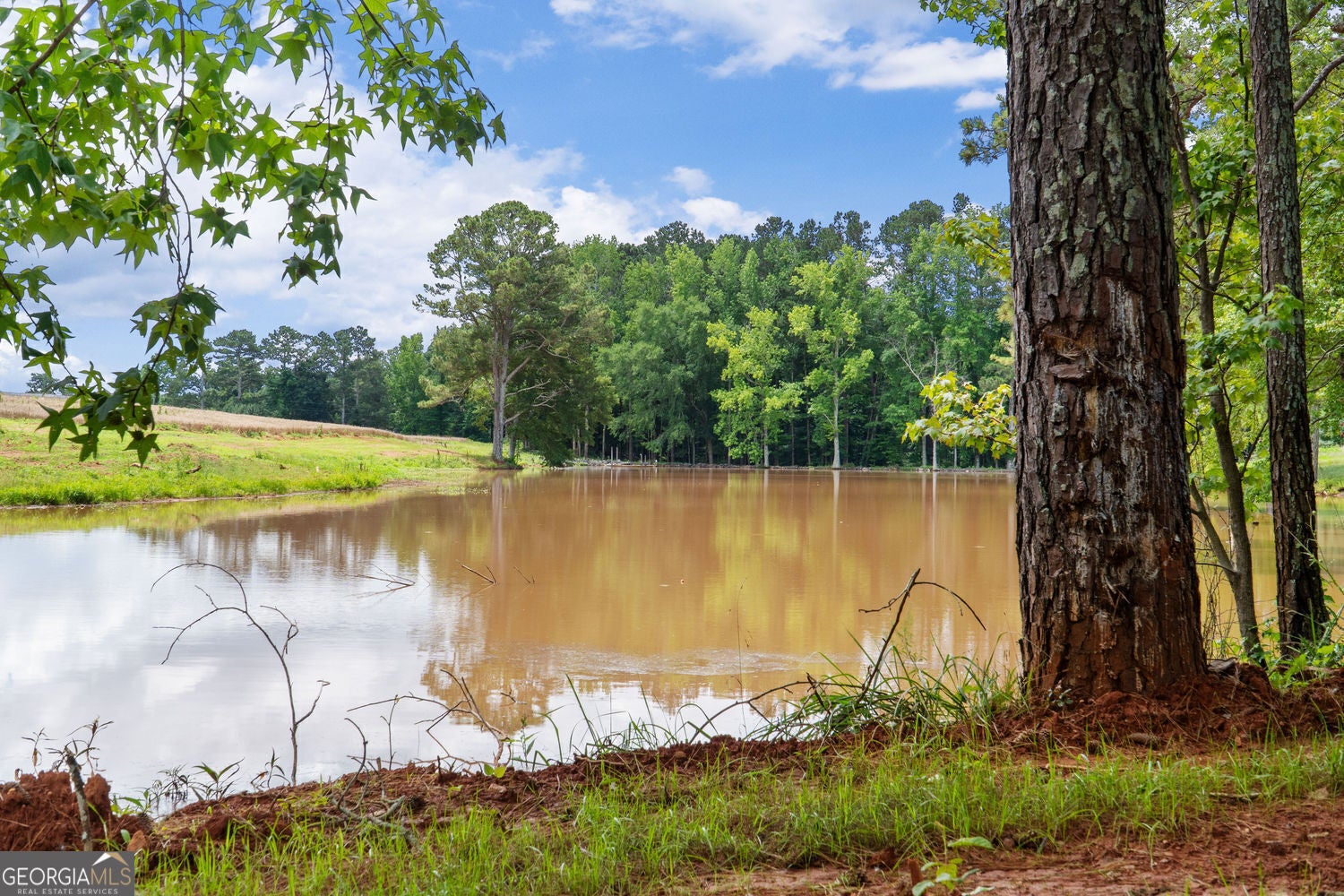 Social Circle, Georgia, 30025, United States, ,Residential,For Sale,1867942