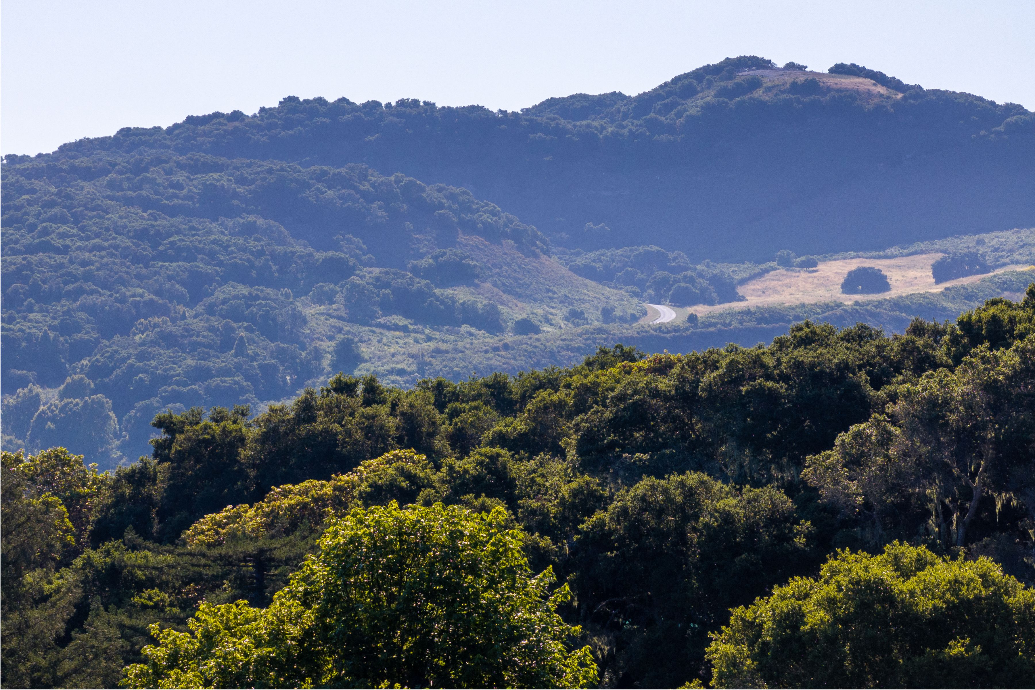  15 Potrero Trail (Lot 188) - 物件實景