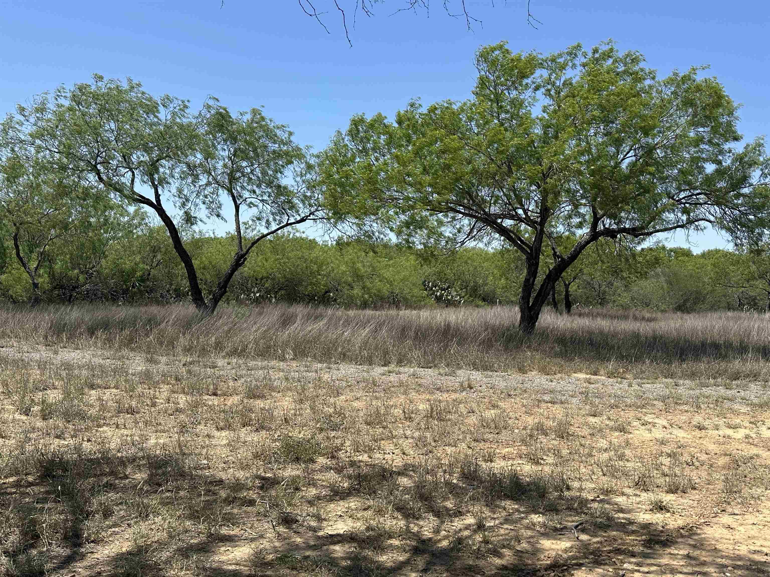 Laredo, Texas, 78045, United States, ,Land,For Sale,1770217