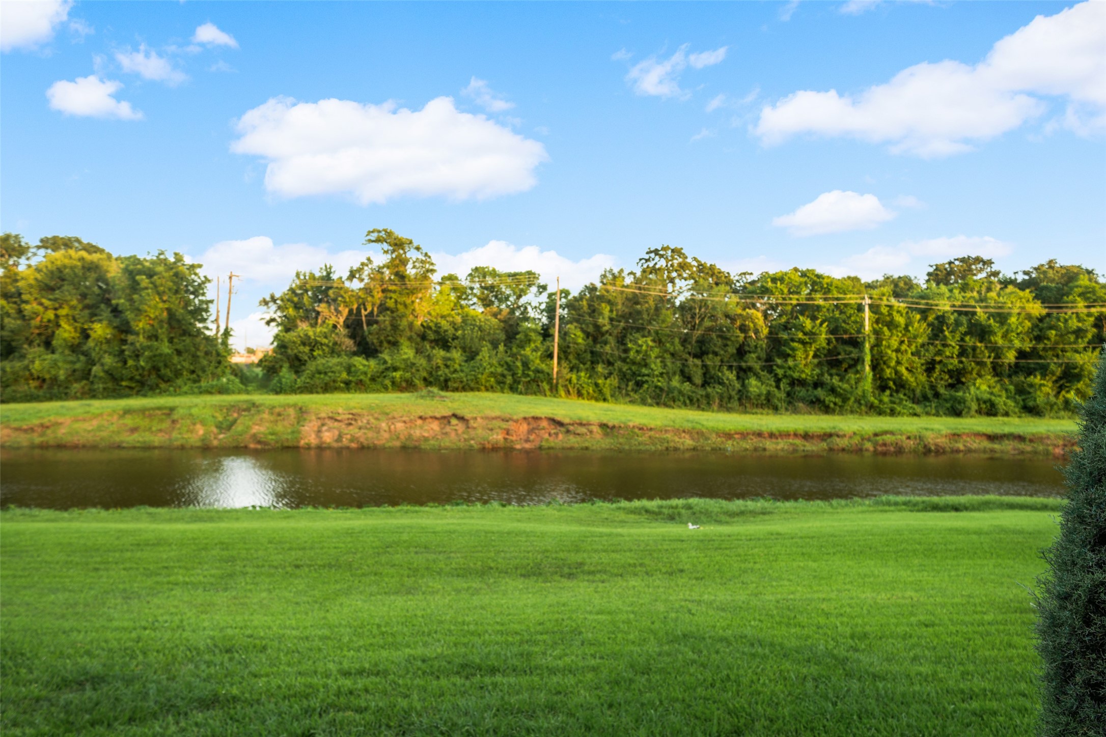  16310 Brook Forest Drive - 物件實景
