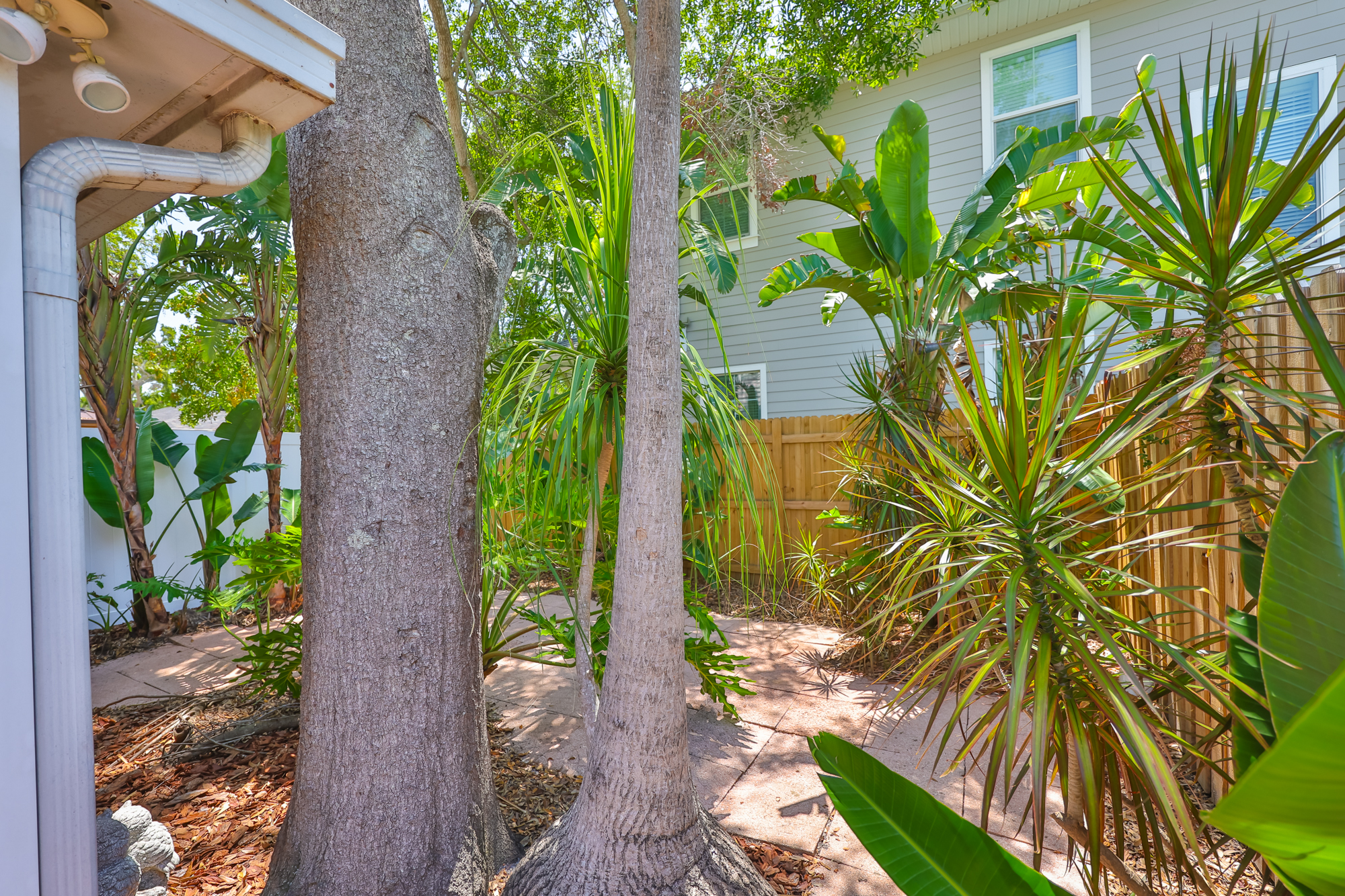 Tampa, Florida, 33629, United States, 2 Bedrooms Bedrooms, ,3 BathroomsBathrooms,Residential,For Sale,1981807