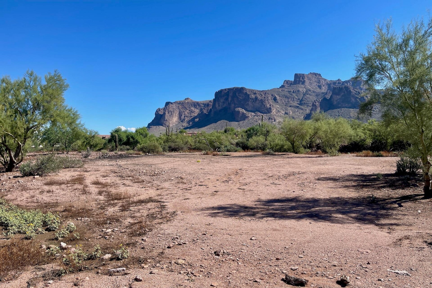  52 E Scenic (geronimo) Street¦Apache Junction, AZ - 物件實景