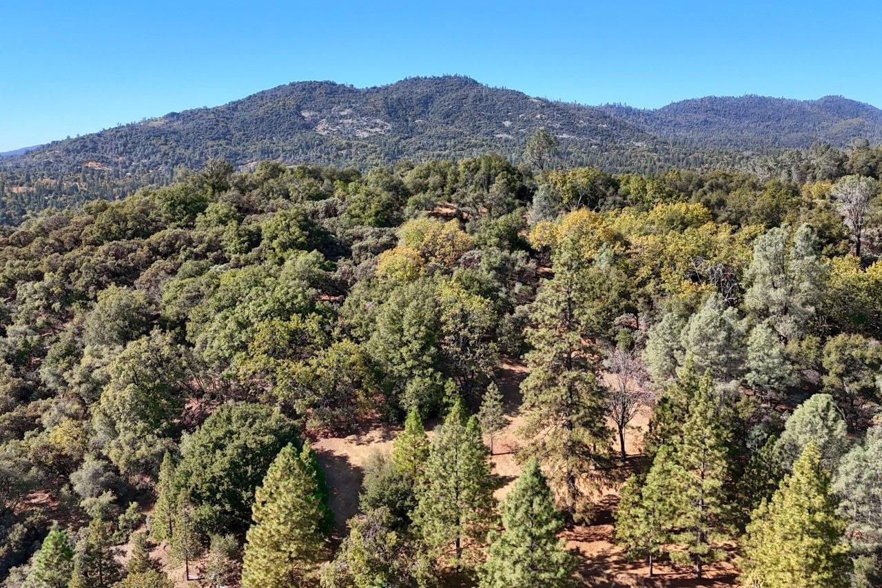 North Fork, California, 93643, United States, 3 Bedrooms Bedrooms, ,2 BathroomsBathrooms,Residential,For Sale,1983118