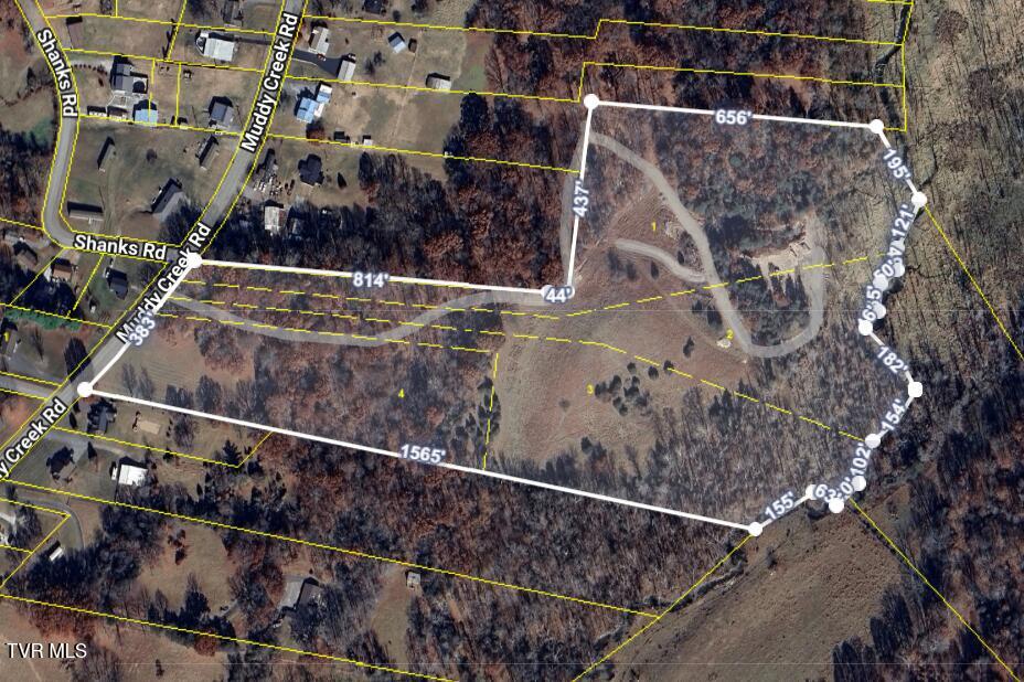 Piney Flats, Tennessee, 37686, United States, ,Land,For Sale,1983828