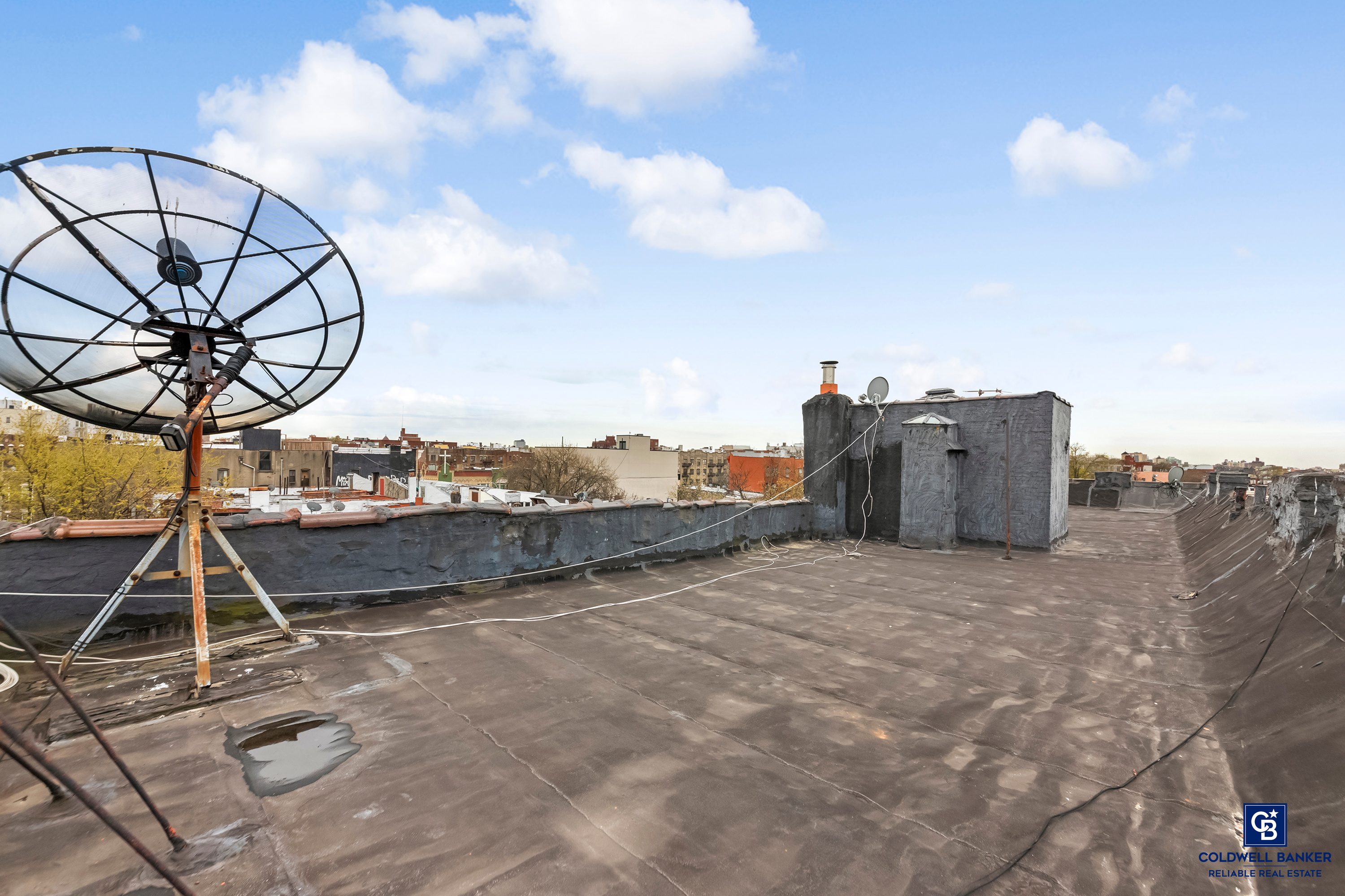 Brooklyn, New York, 11213, United States, 21 Bedrooms Bedrooms, ,7 BathroomsBathrooms,Residential,For Sale,1784362