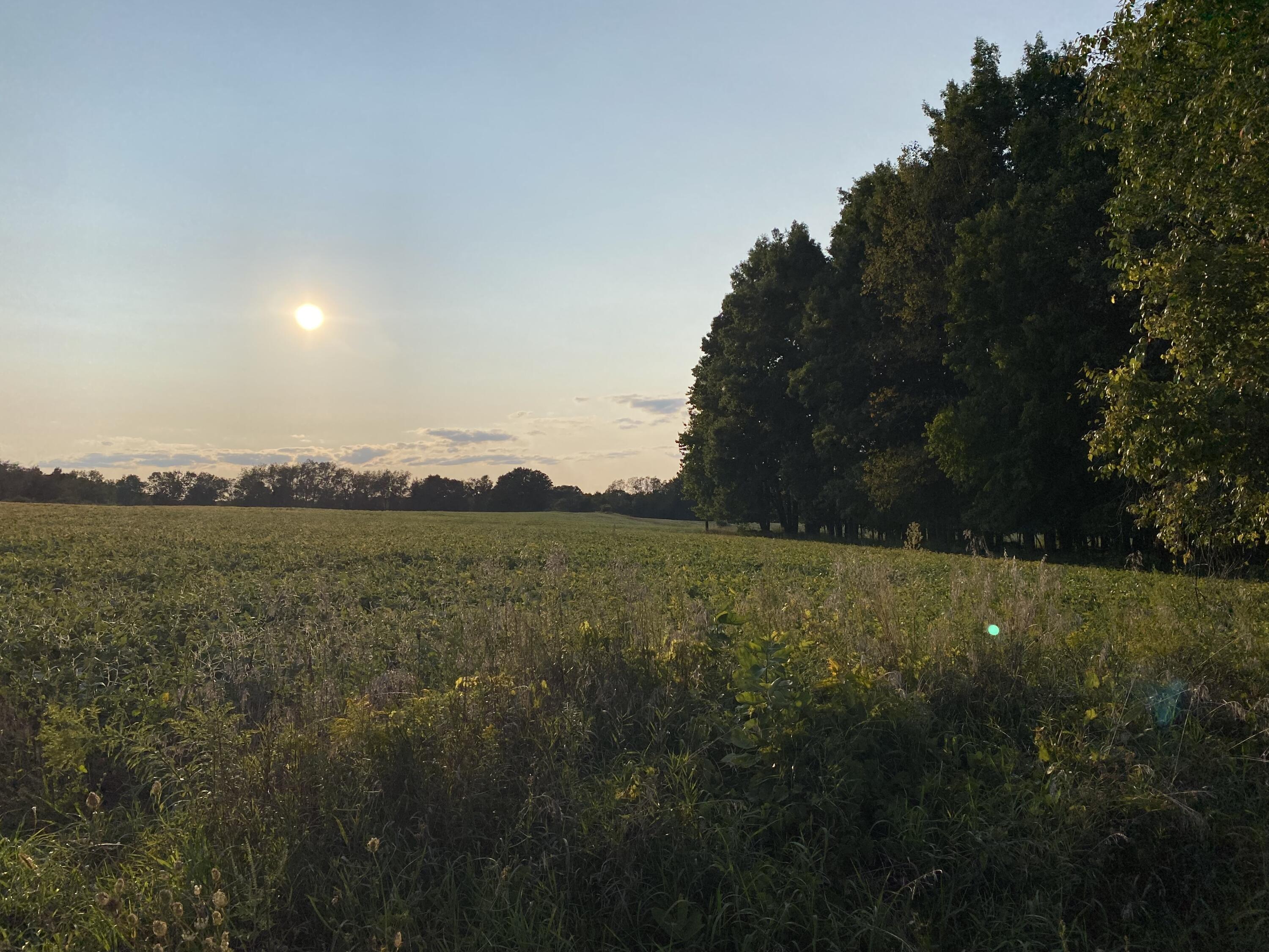 Lakeview, Michigan, 48850, United States, ,Land,For Sale,1942163