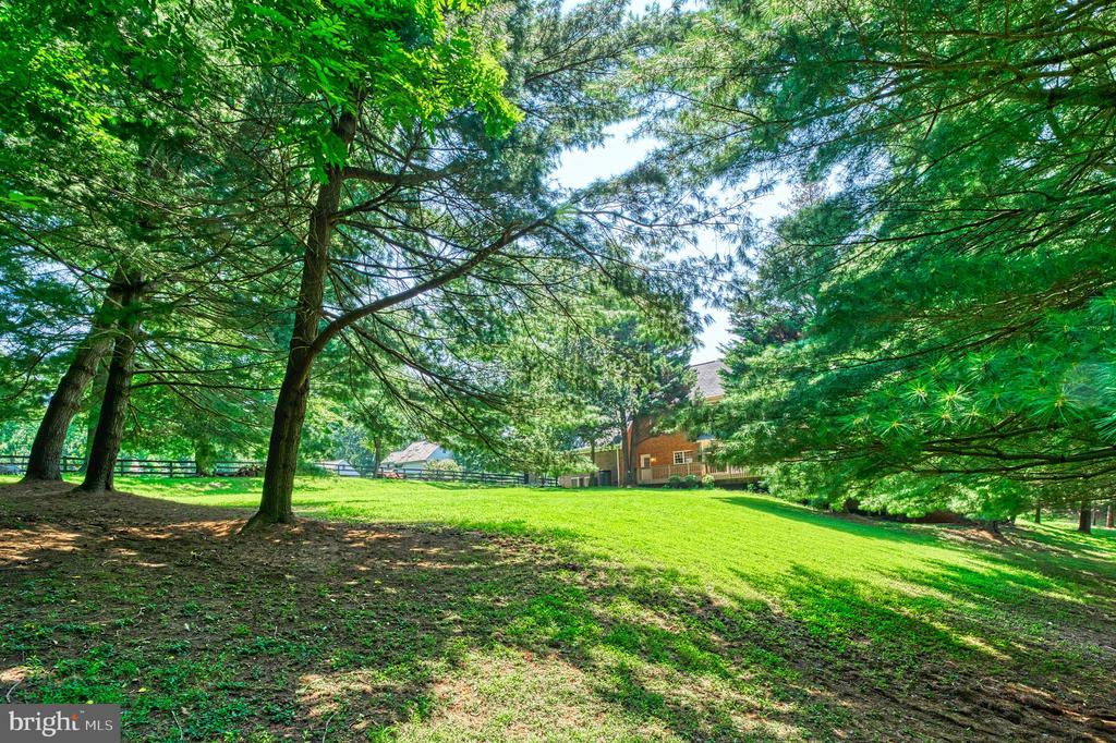 Great Falls, Virginia, 22066, United States, 5 Bedrooms Bedrooms, ,5 BathroomsBathrooms,Residential,For Sale,1900616