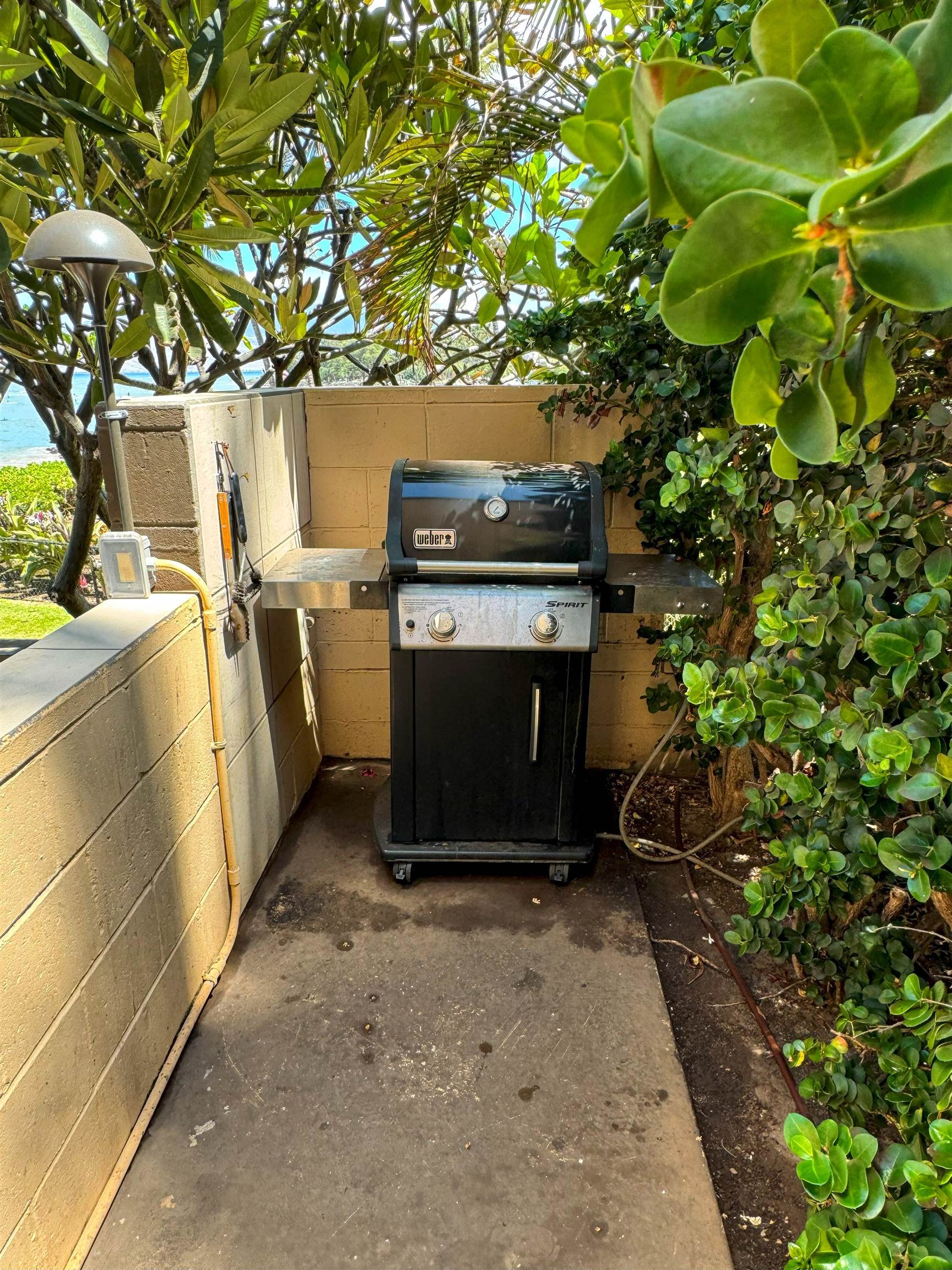 Kihei, Hawaii, 96753, United States, ,1 BathroomBathrooms,Residential,For Sale,1846527