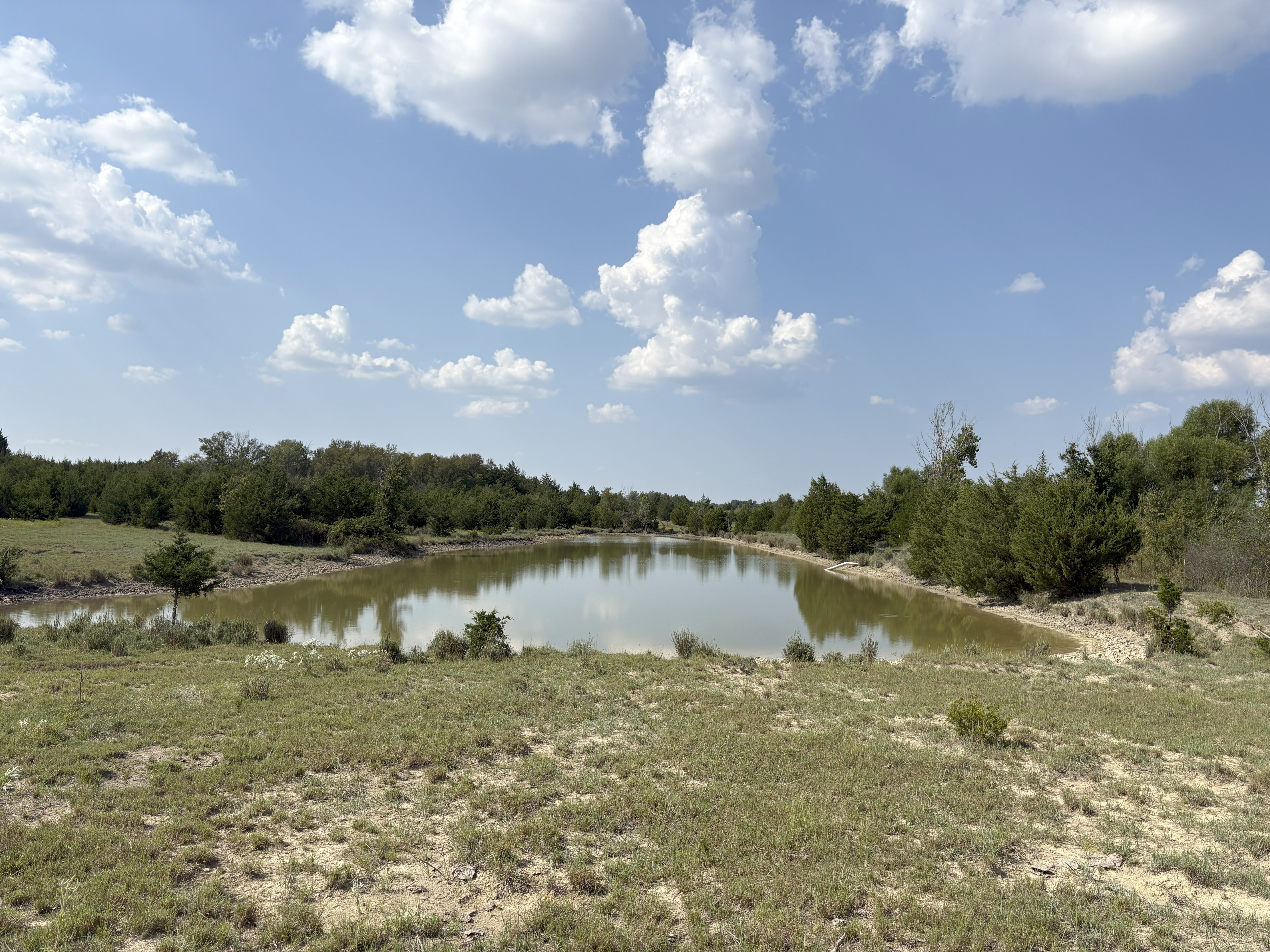 Roxton, Texas, 75477, United States, ,Land,For Sale,1979032