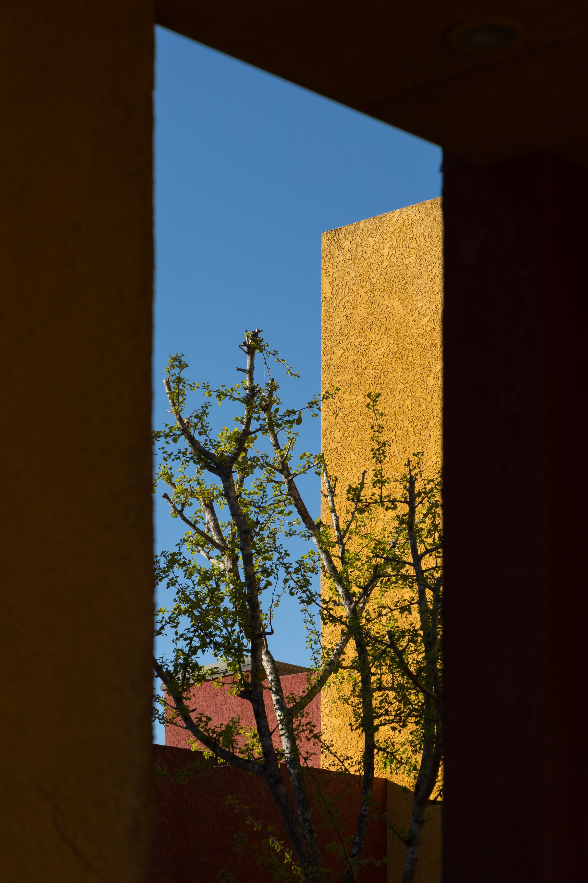 ObjectPhoto45