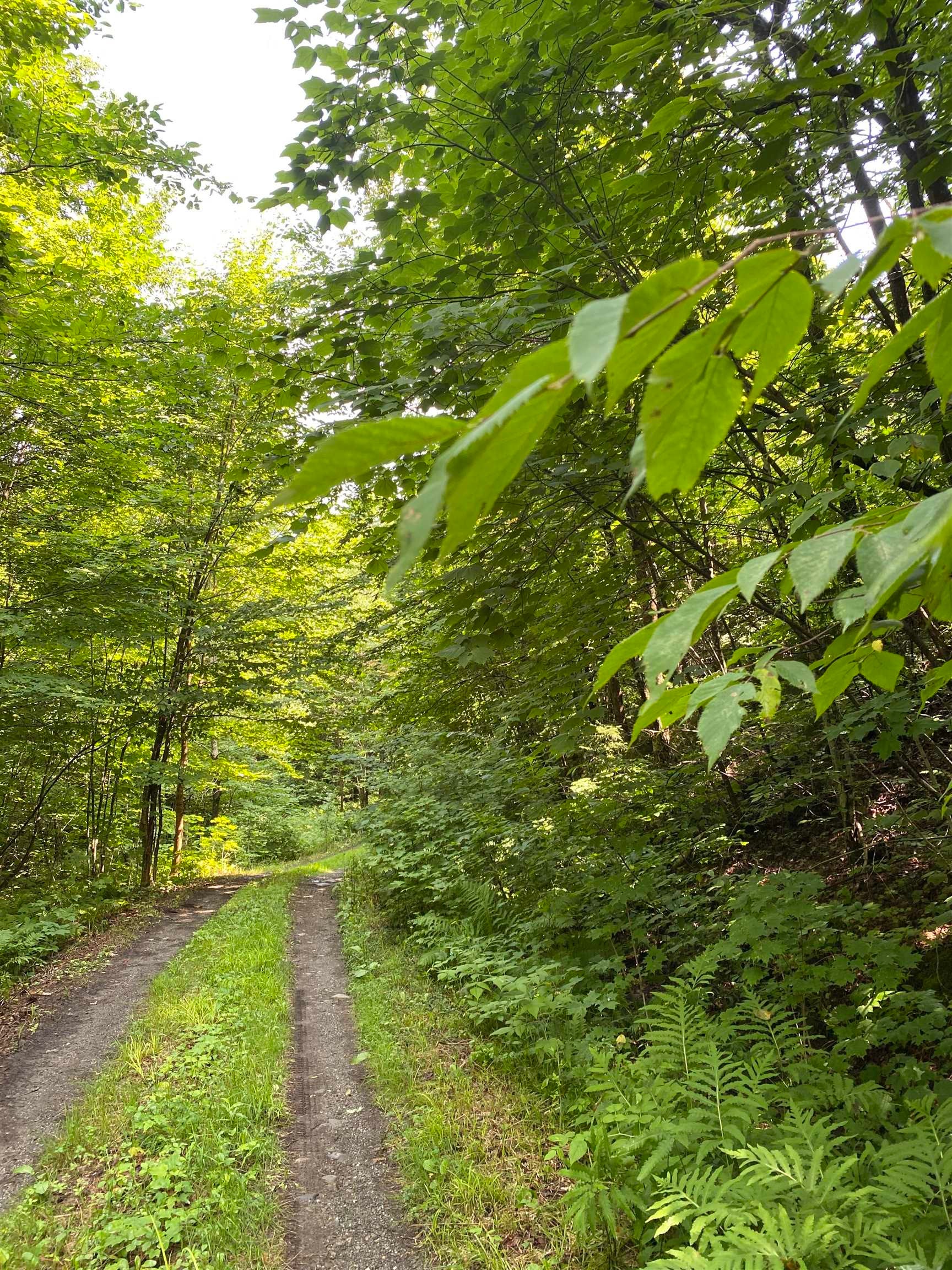 1629 East Hill Road, Eden, Vermont, 05653, United States, ,Land,For Sale,1629 East Hill Road,1626142