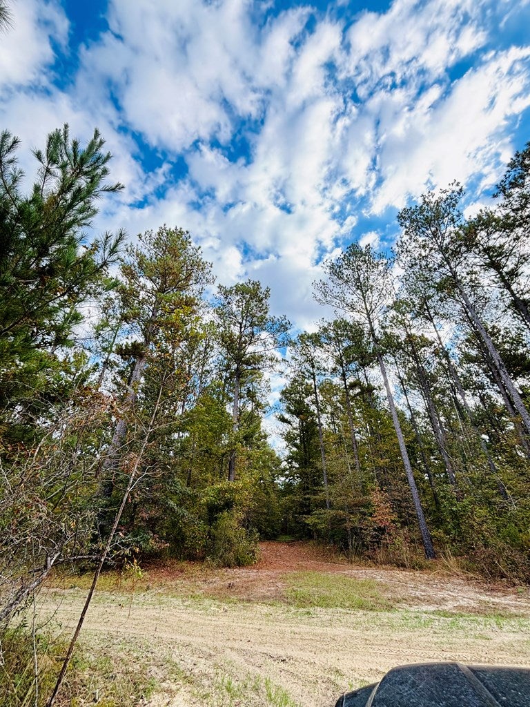 Abbeville, Georgia, 31001, United States, ,Land,For Sale,1975130