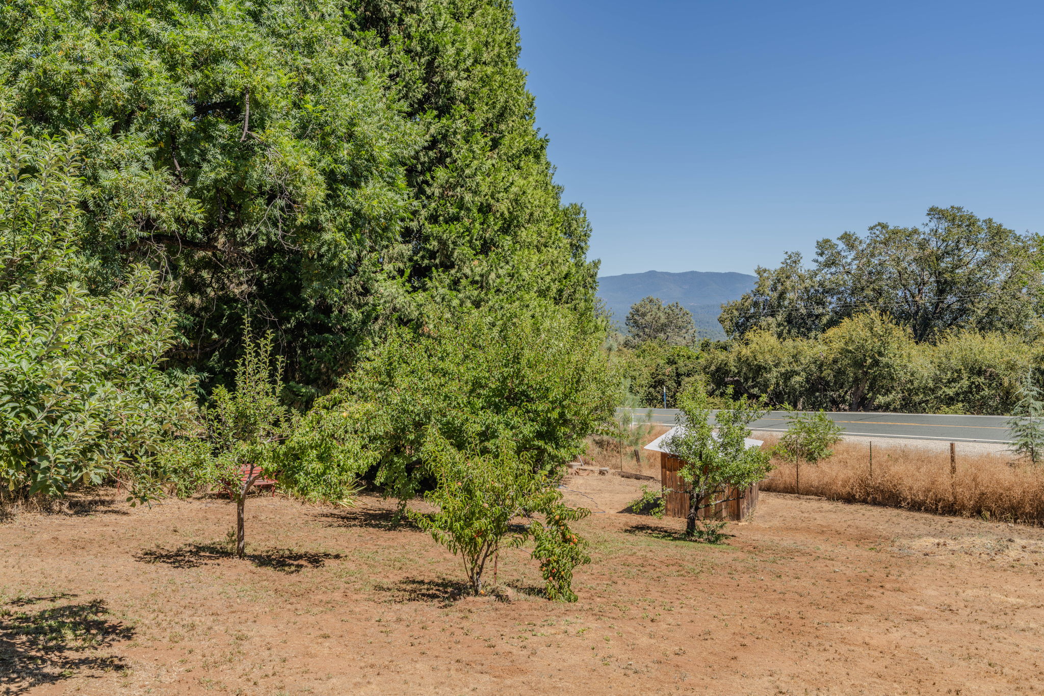  Panoramic Blue Mountain Views on One Usable Acre - 物件實景