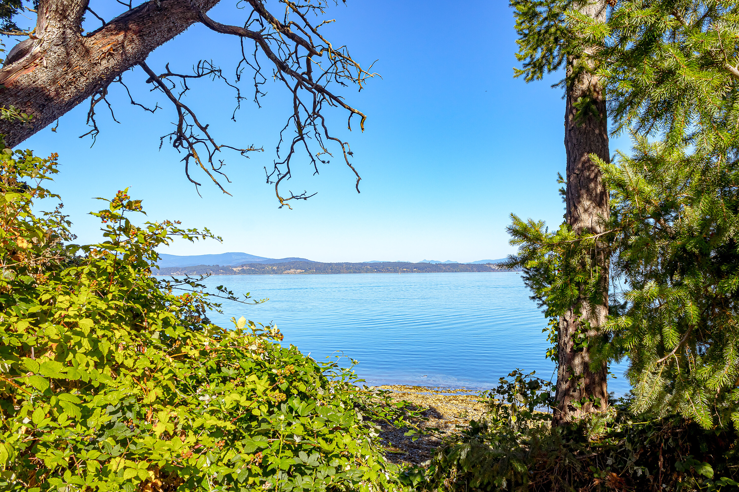  Prime Waterfront Home - 物件實景
