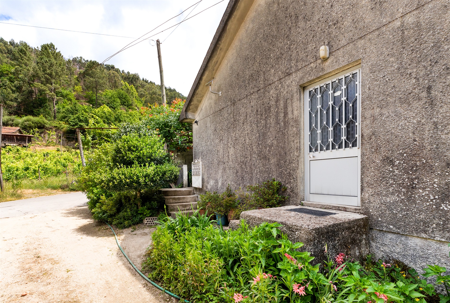  Farm, 3 bedrooms, for Sale - 物件實景