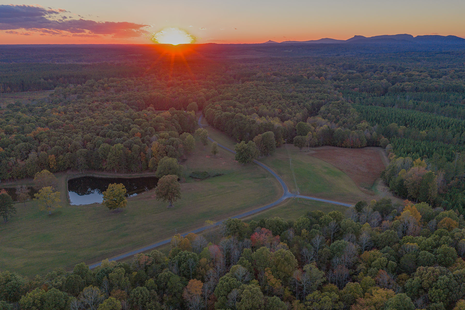  Walnut Cove - 物件實景