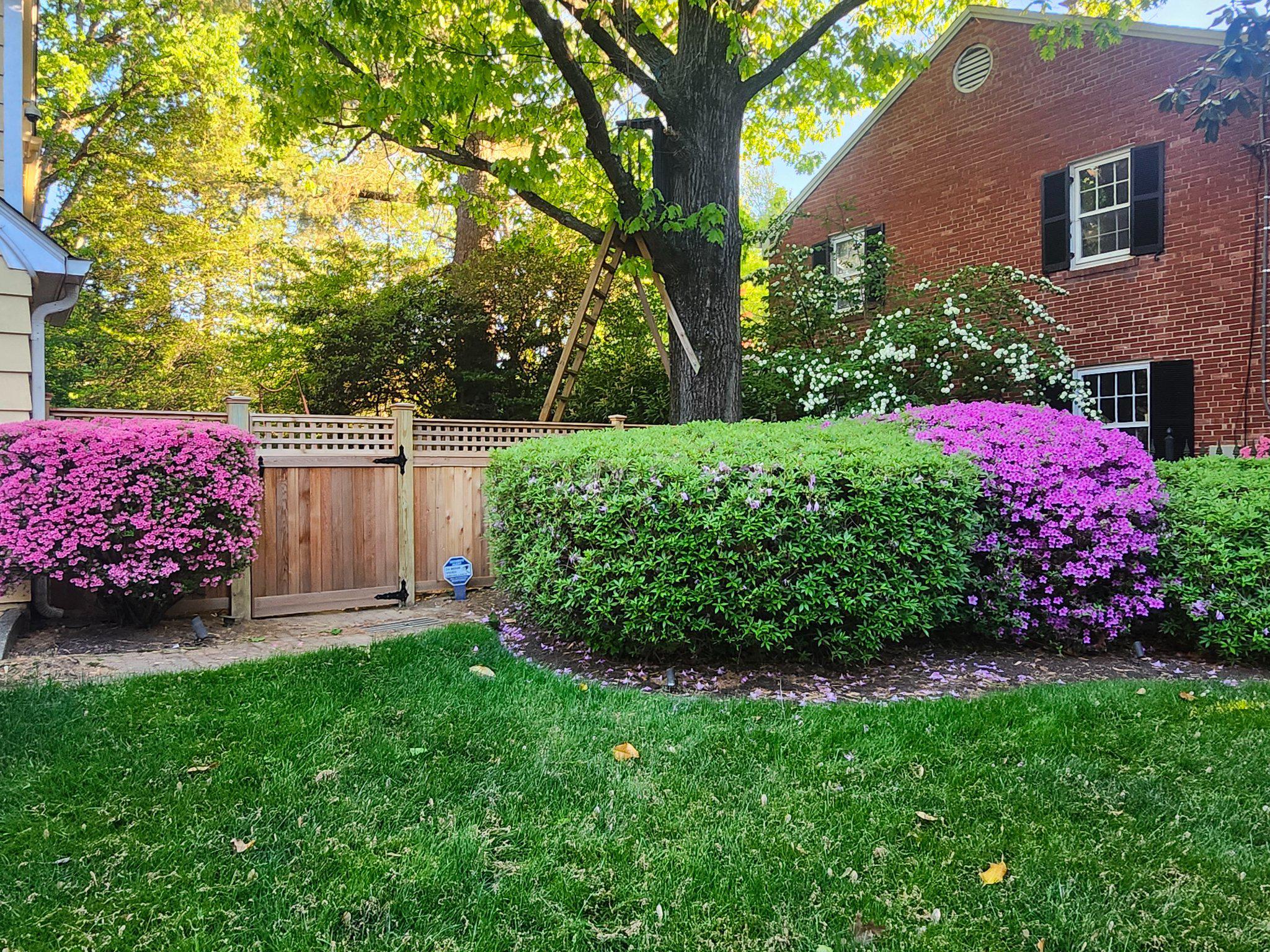  3610 East West Highway 3610, Chevy Chase, MD, 20815 - 物件實景