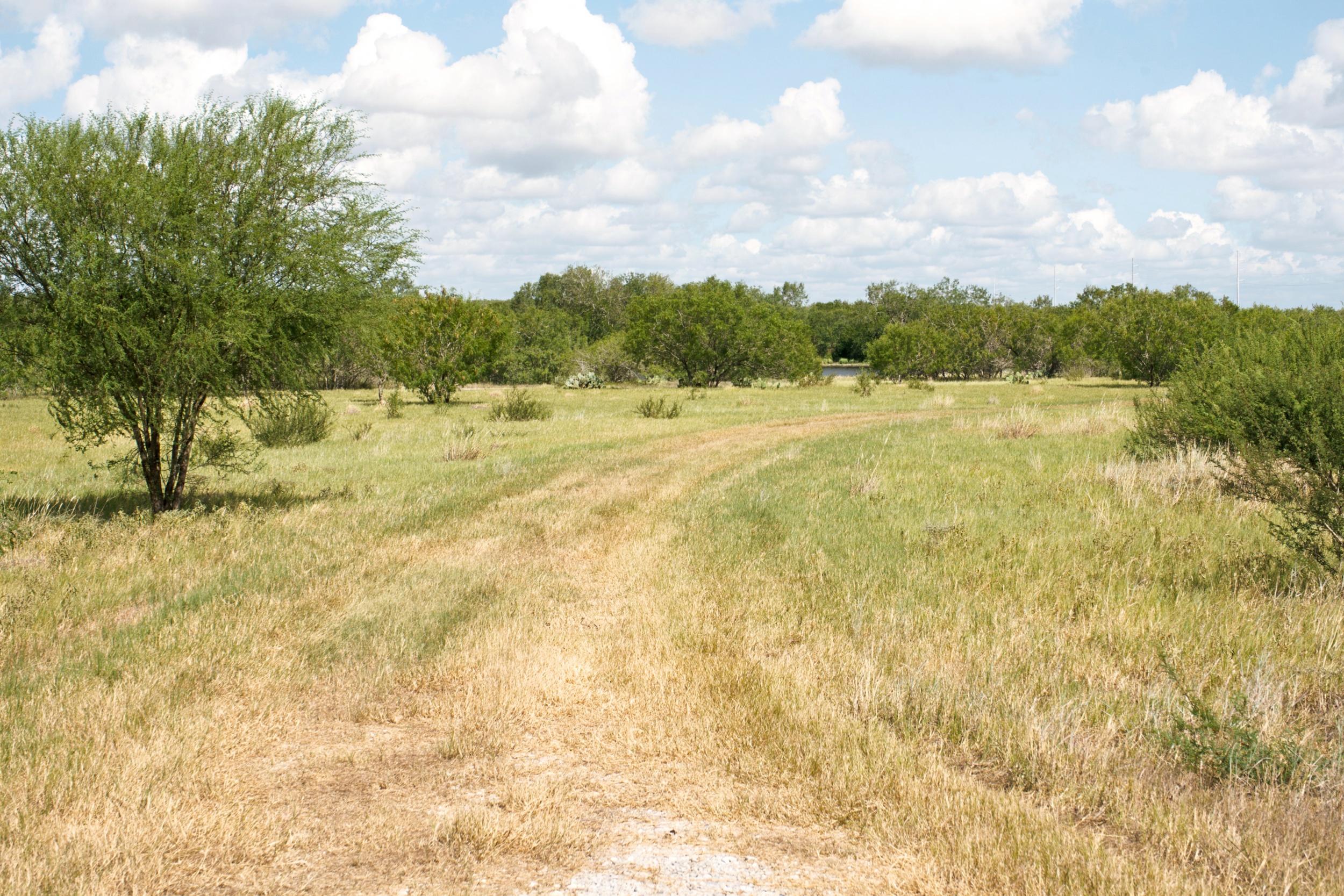  1234.89 +/- Acres, Santa Clara Ranch, Atascosa County, Falls City, TX 78113 - 物件實景
