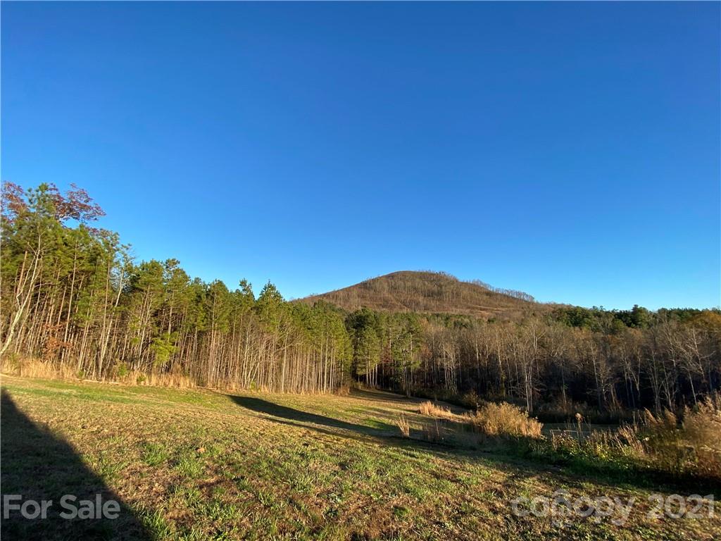 0 Bailey Off Road, Nebo, North Carolina, 28761, United States, ,Land,For Sale,0 Bailey Off Road,1437503