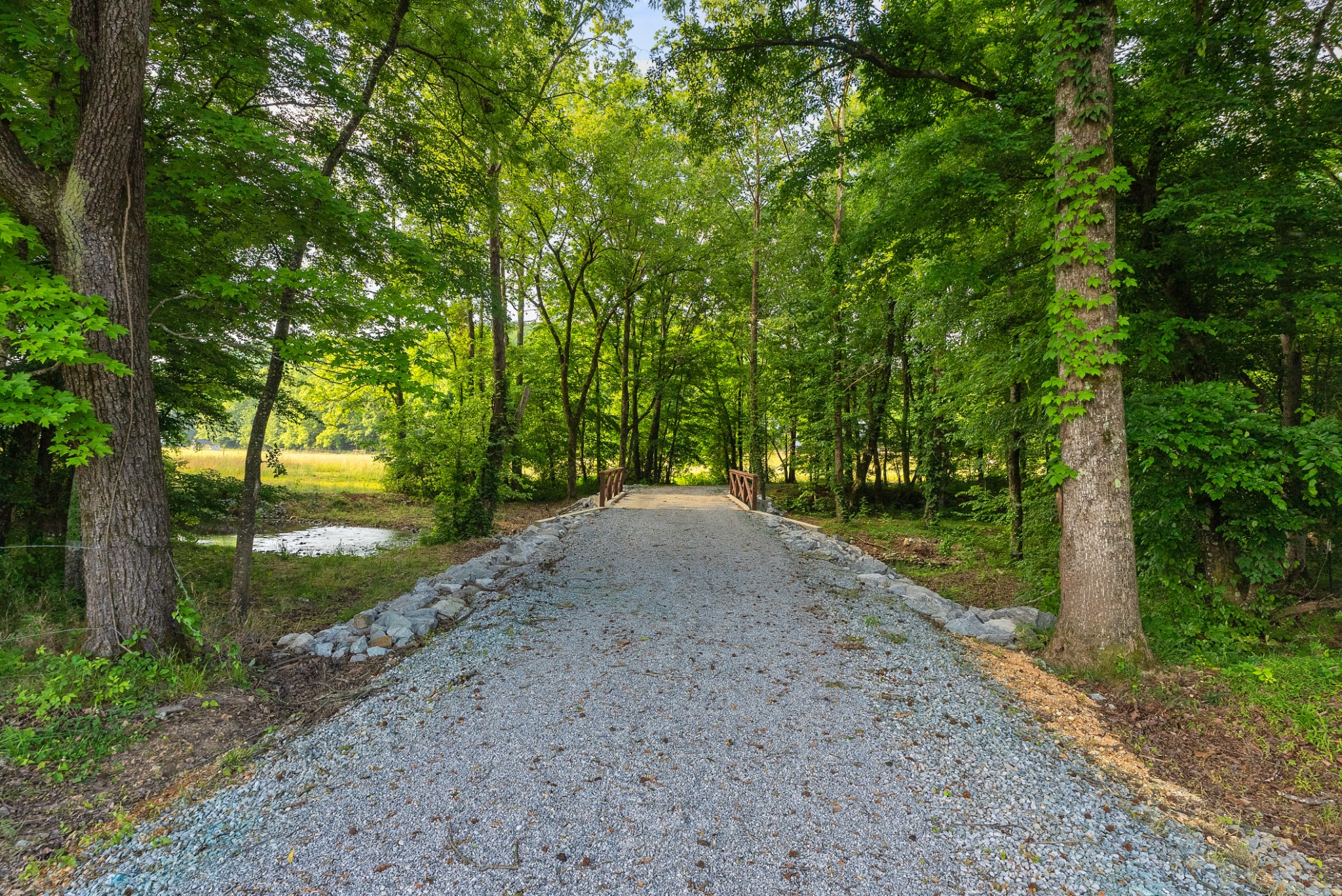  2133 Bear Creek Rd, Collinwood, TN, 38450 - 物件實景
