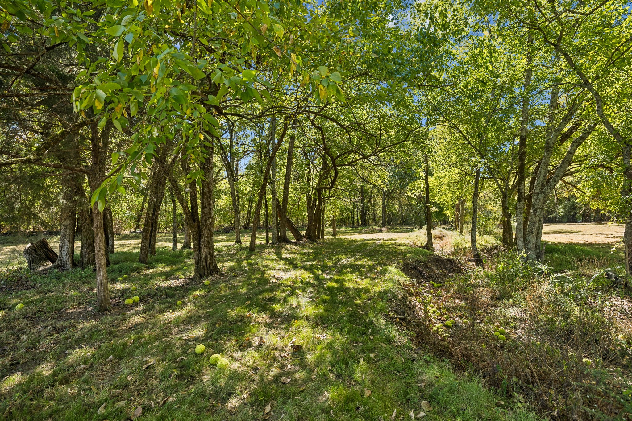  2216 Twin Peaks Ct, Spring Hill, TN, 37174 - 物件實景