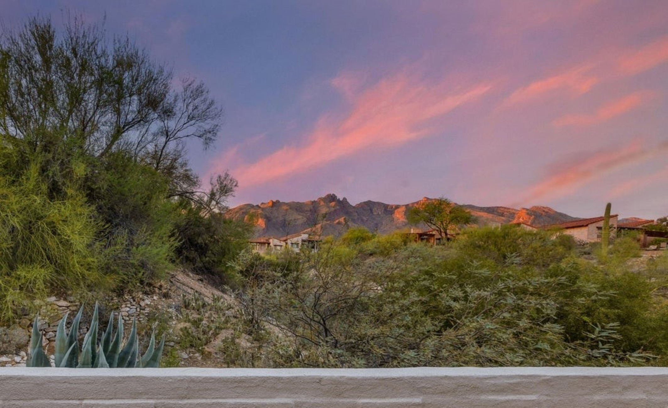  6250 N Campbell Avenue¦Tucson, AZ - 物件實景