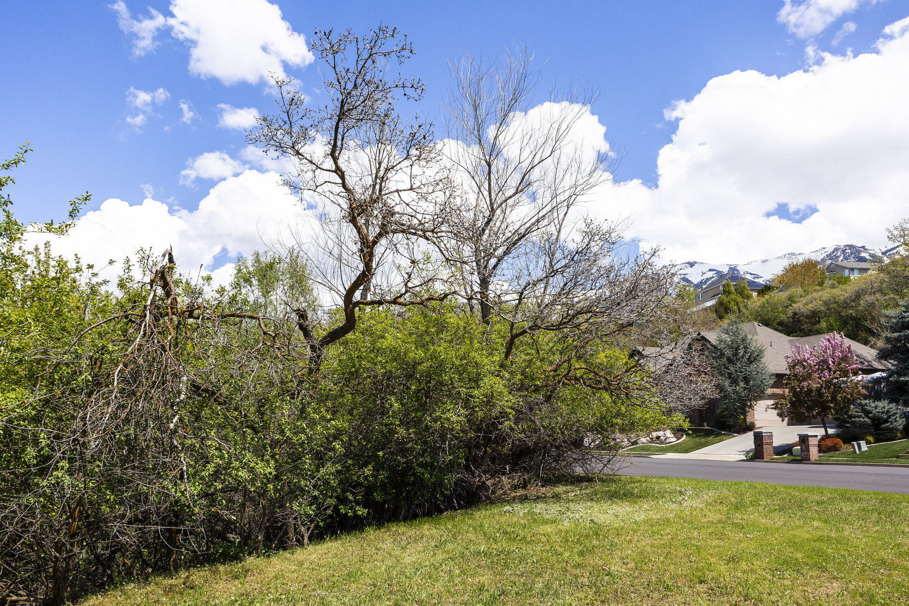  1.47 Acre Lot In East Layton With Endless Possibilities - 物件實景