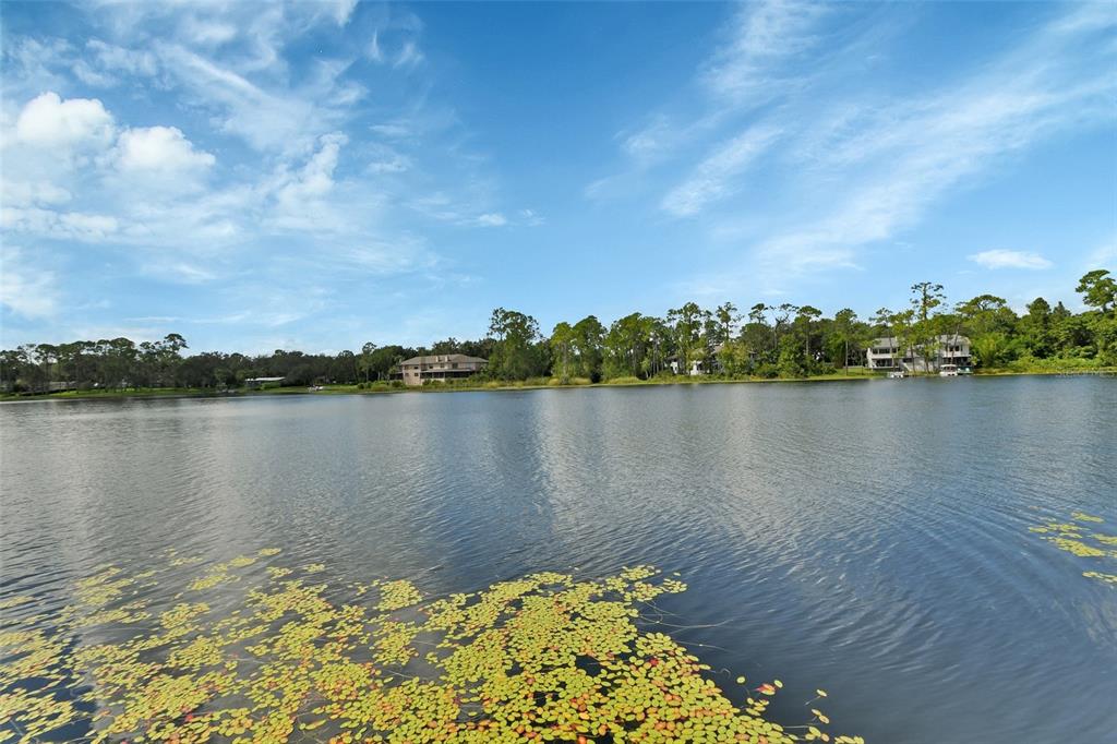 Deland, Florida, 32724, United States, 4 Bedrooms Bedrooms, ,2 BathroomsBathrooms,Residential,For Sale,1917244